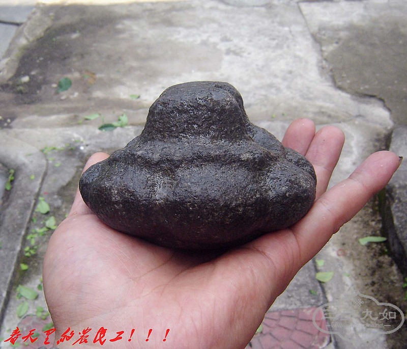 conew_dsc07934.jpg