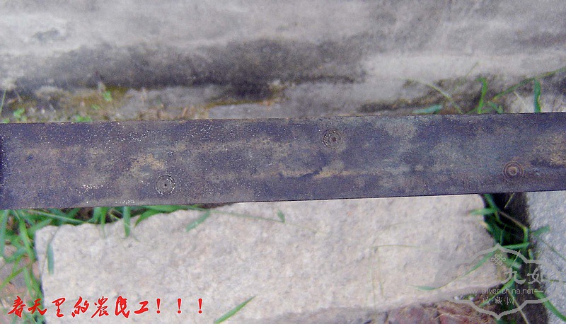 conew_dsc08619.jpg