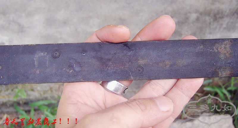 conew_dsc08626.jpg