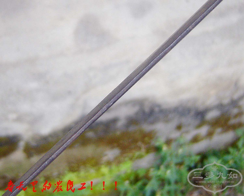 conew_dsc08628.jpg