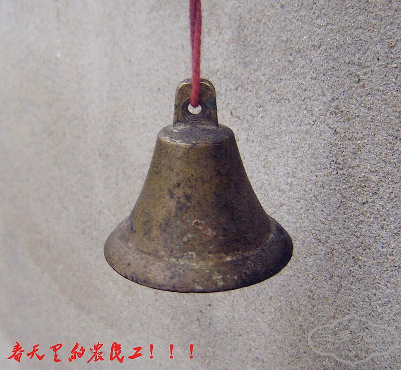 conew_dsc09758.jpg