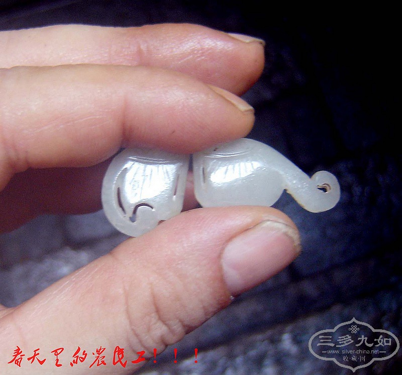 conew_dsc01948.jpg