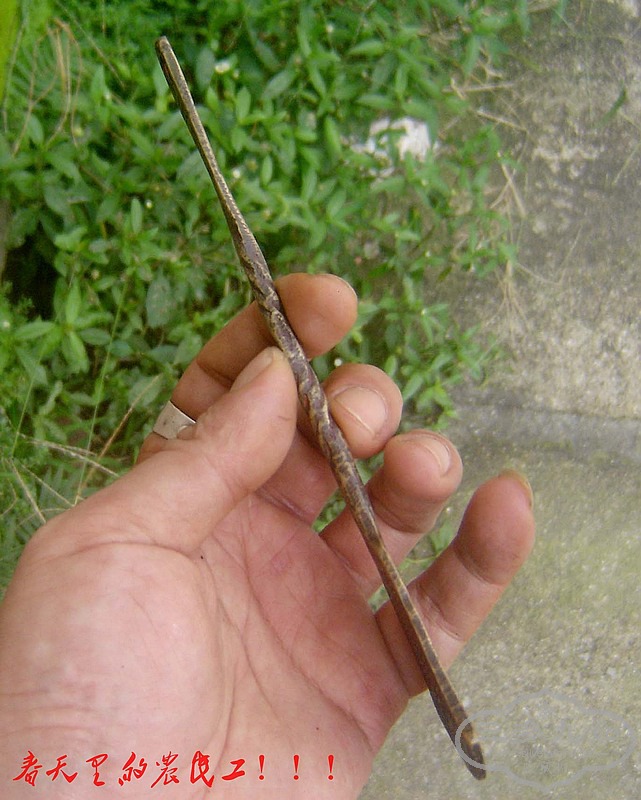 conew_dsc02190.jpg
