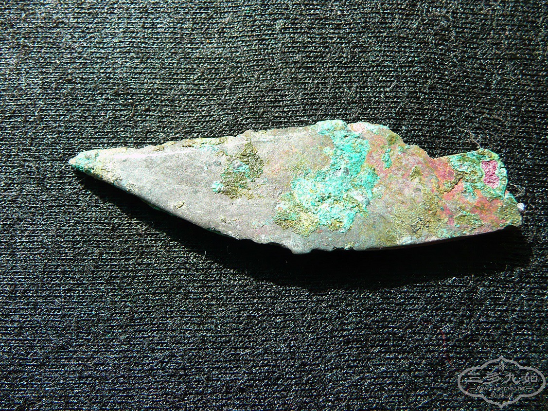 11.JPG