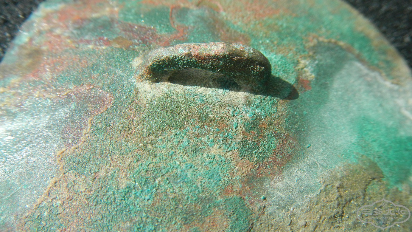 11.JPG