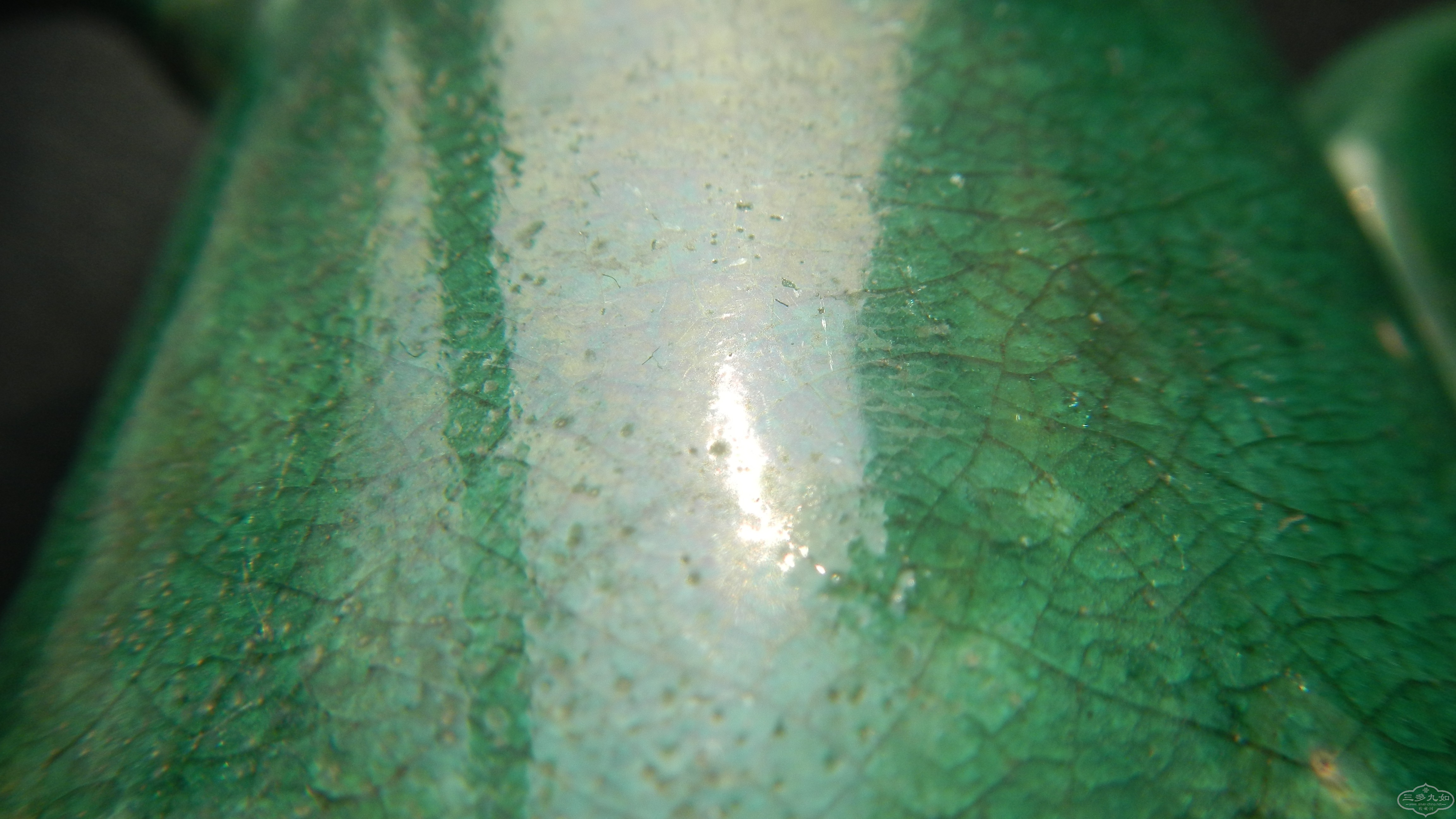 DSCN5963.JPG
