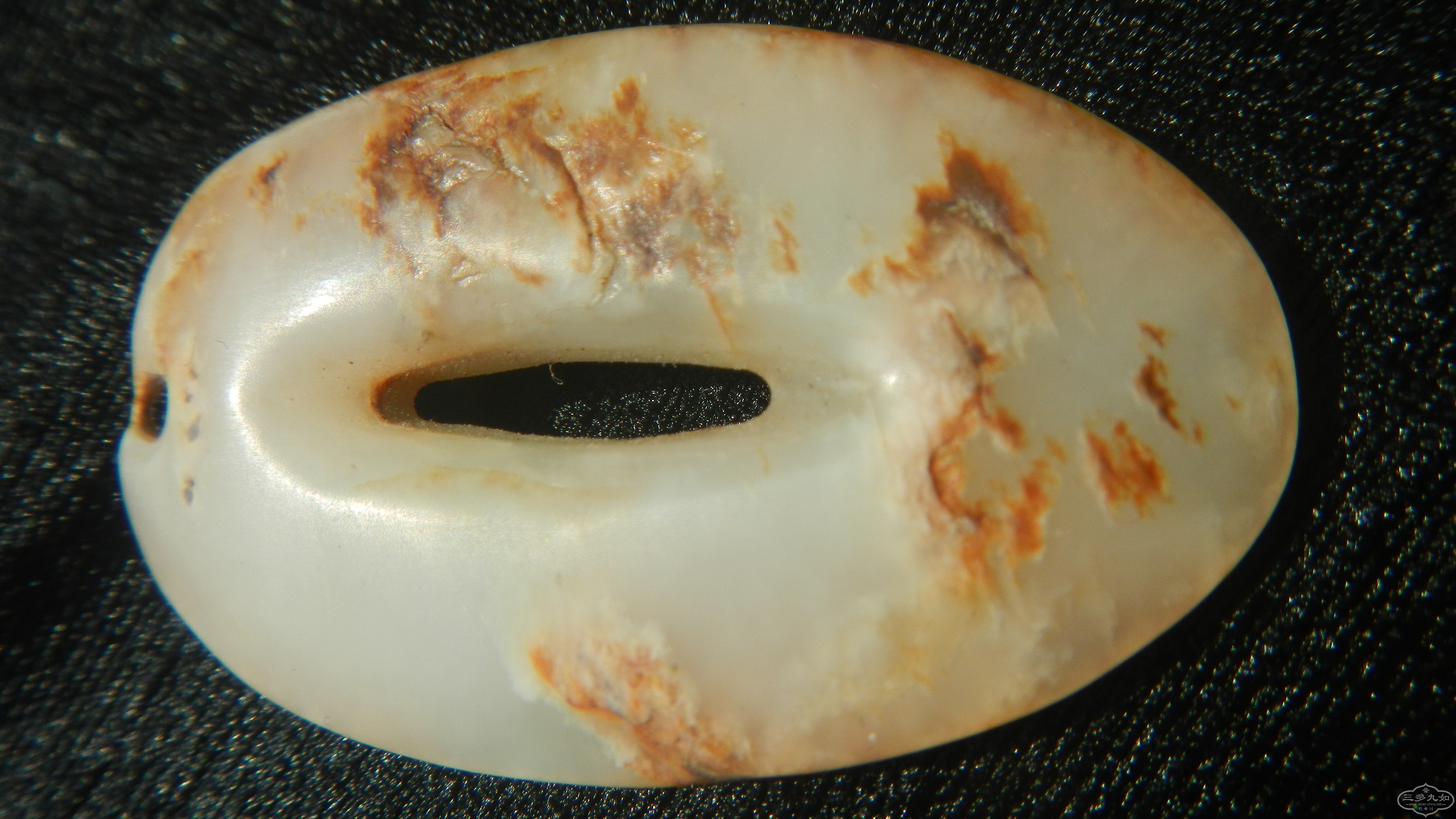 DSCN8514.JPG