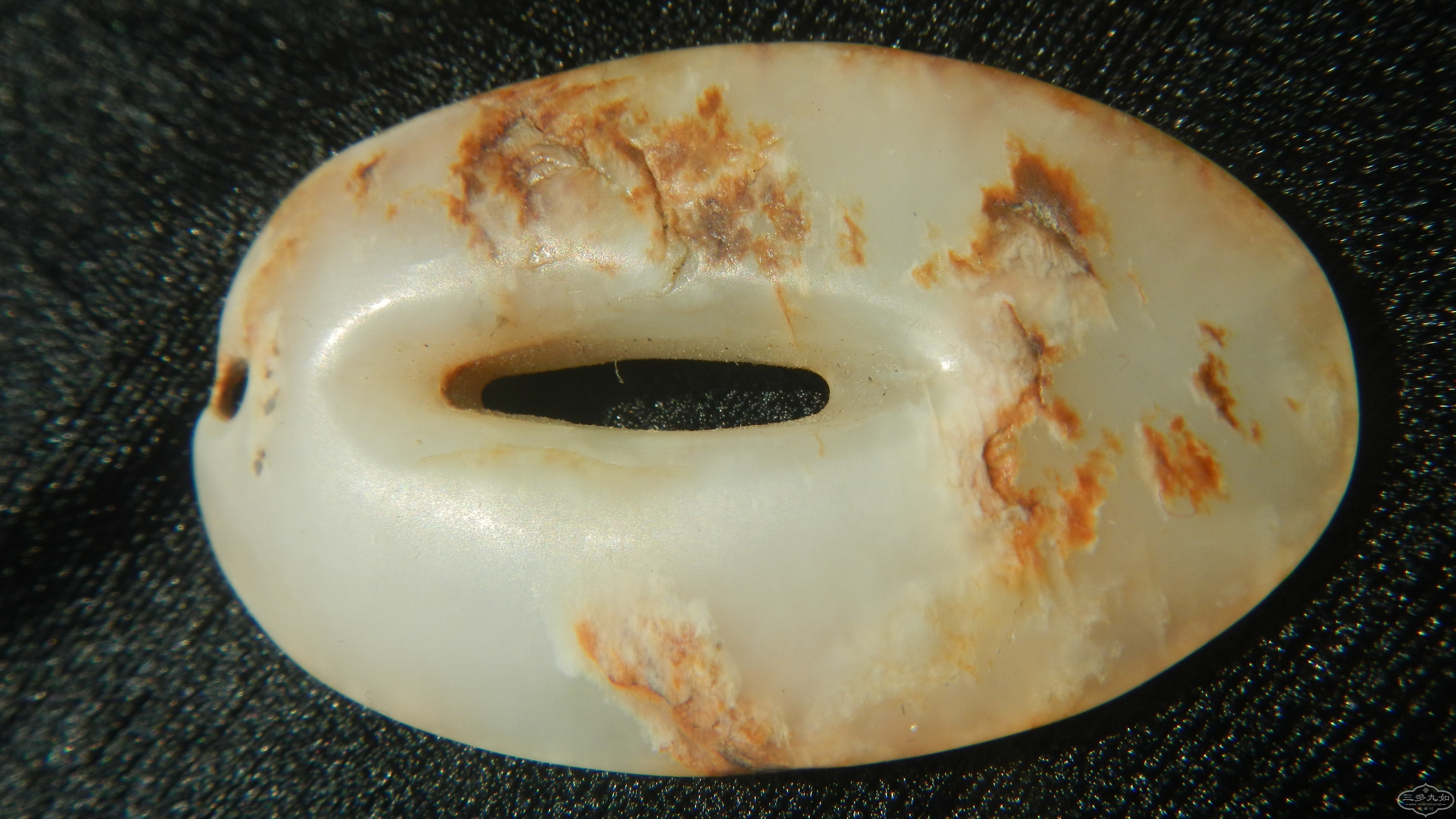 DSCN8515.JPG
