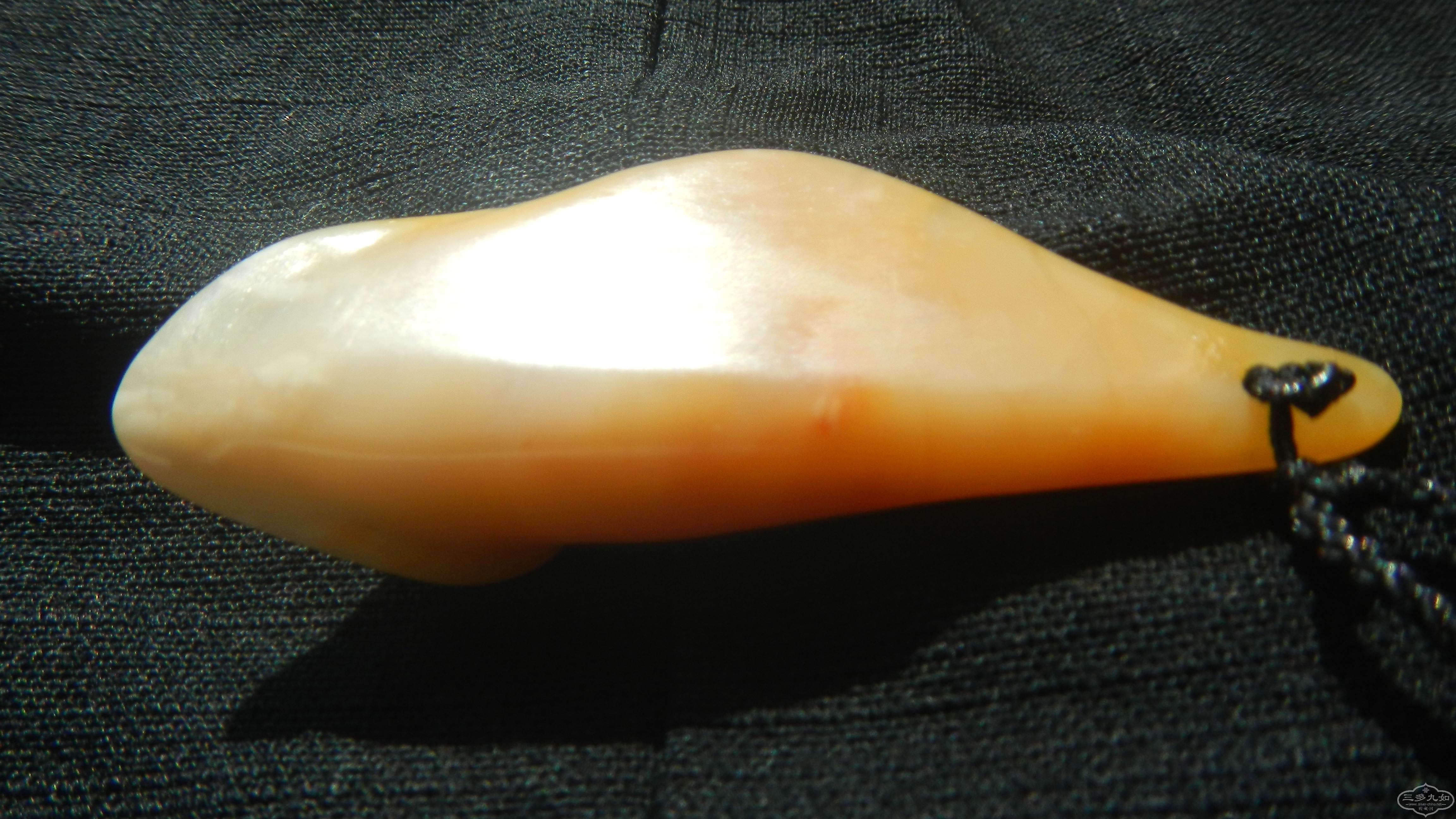DSCN8664.JPG