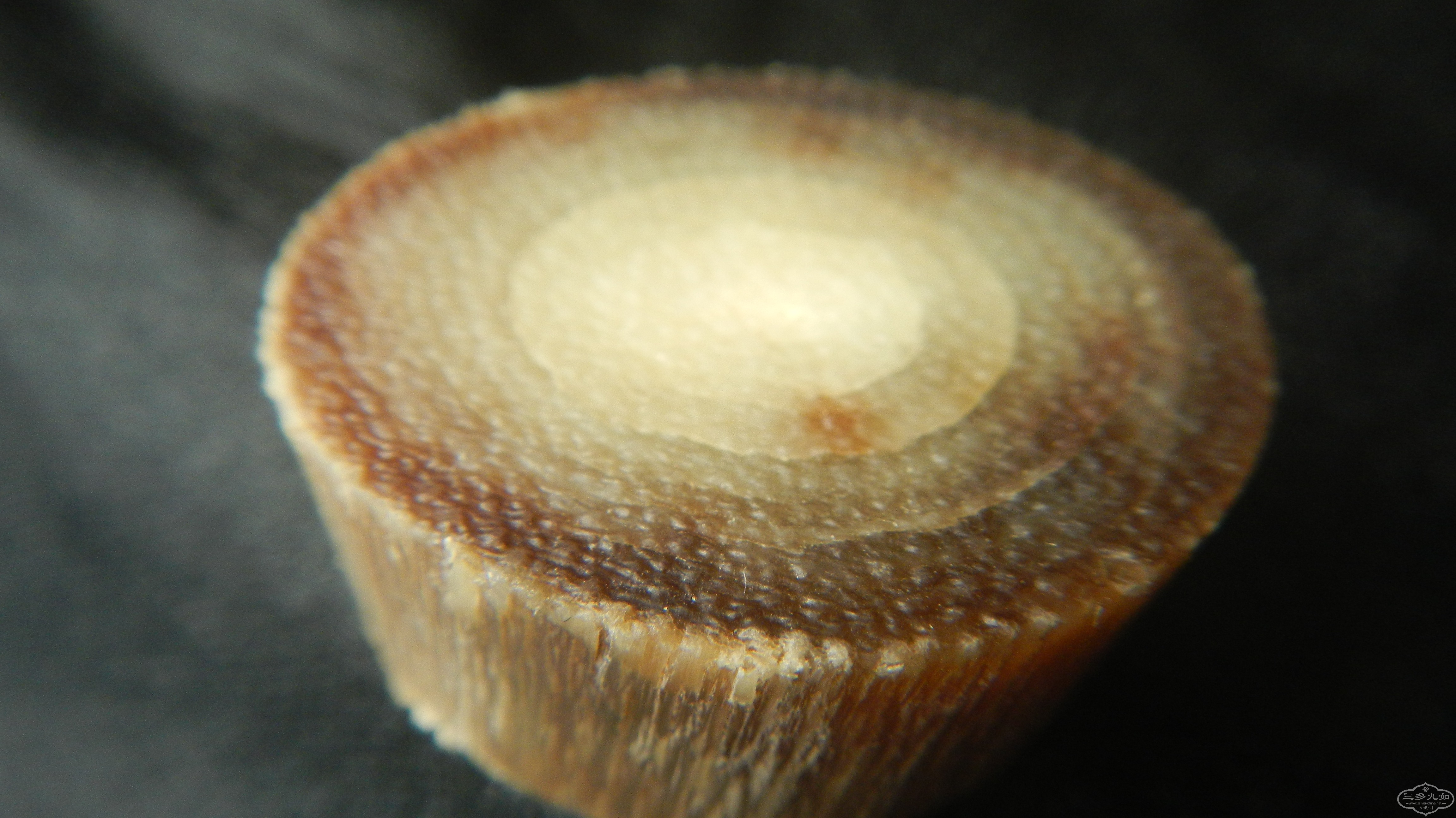 DSCN8854.JPG