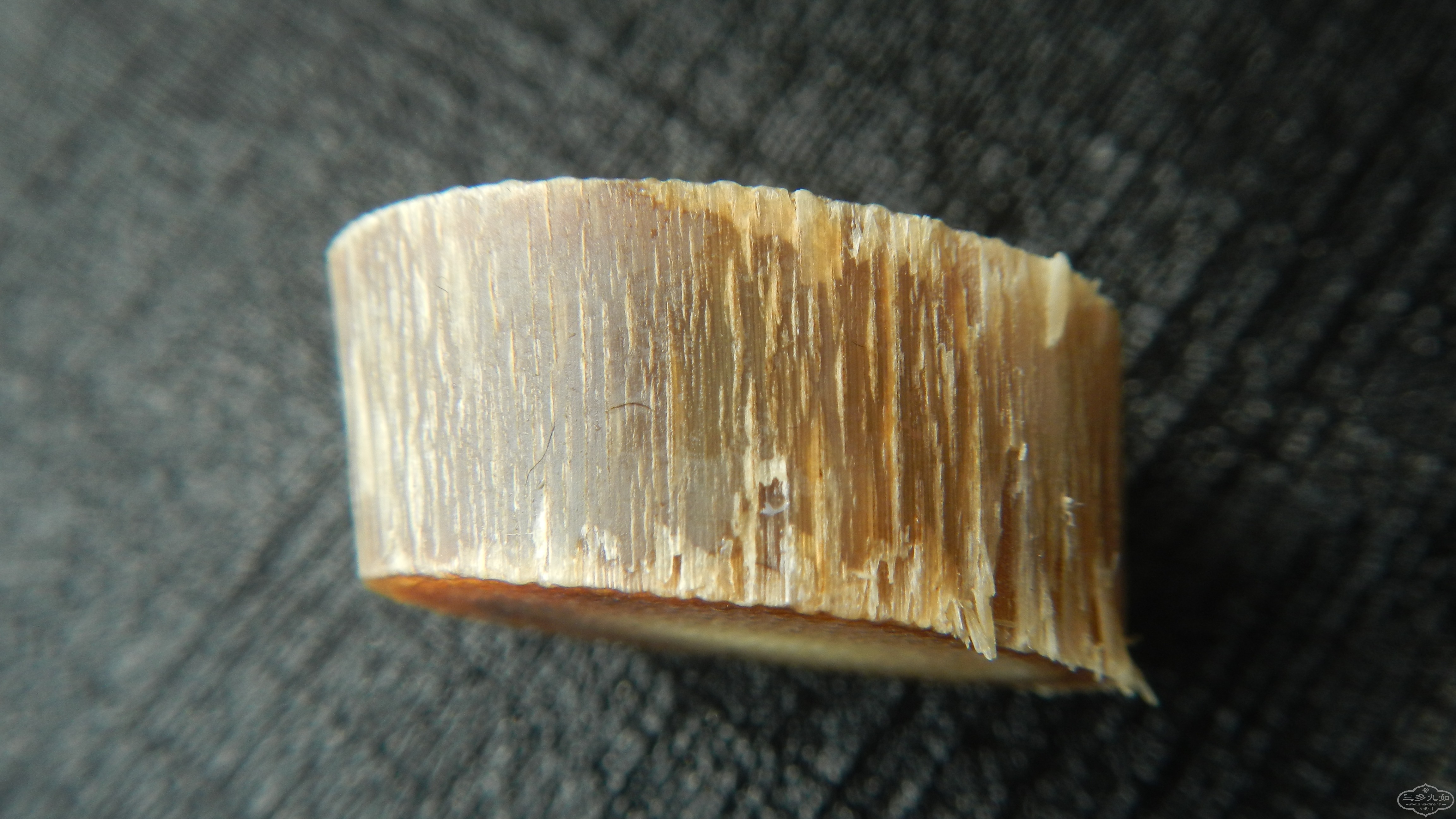 DSCN8849.JPG