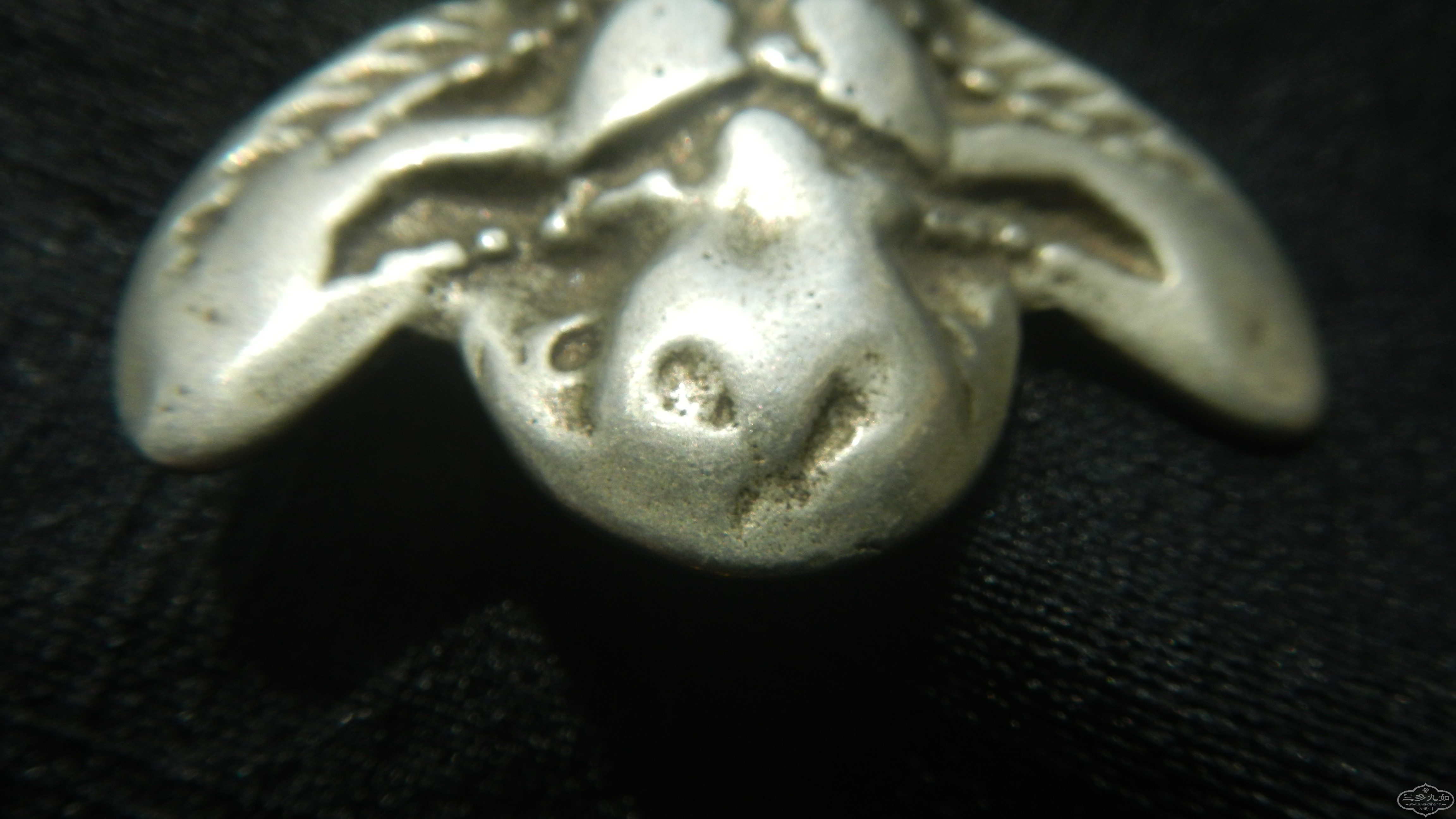DSCN9663.JPG