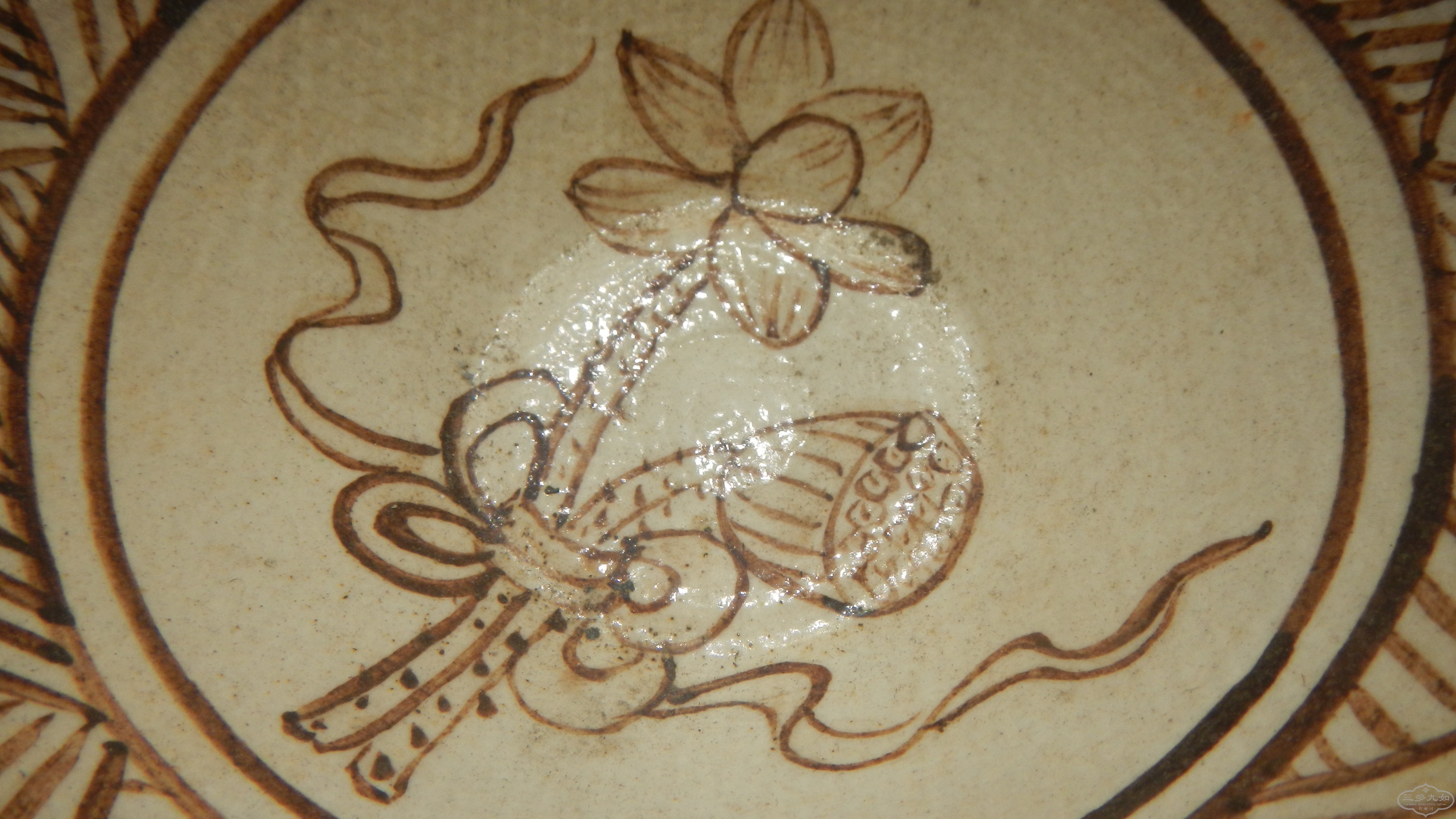 DSCN6931.JPG