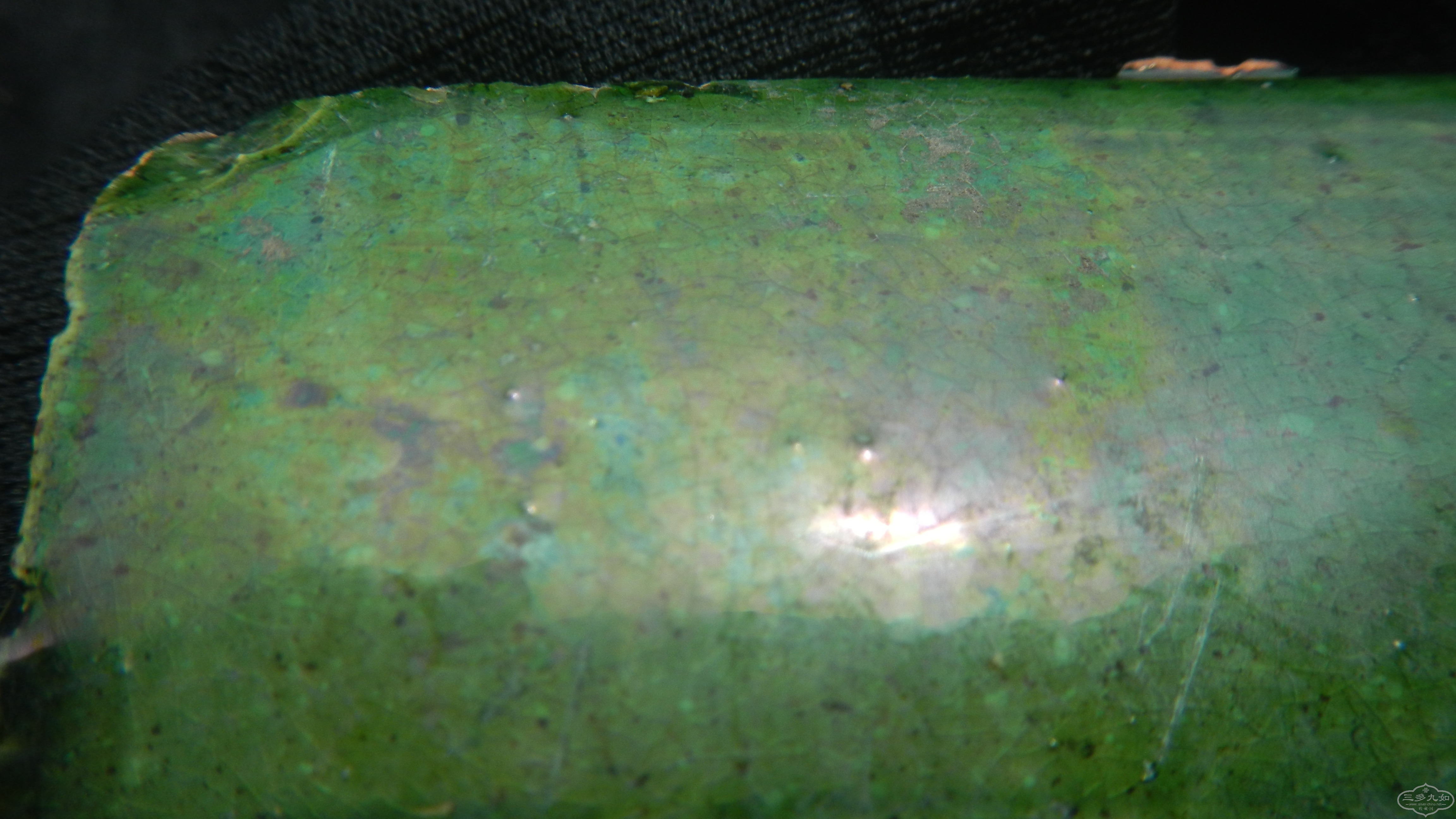 DSCN6955.JPG