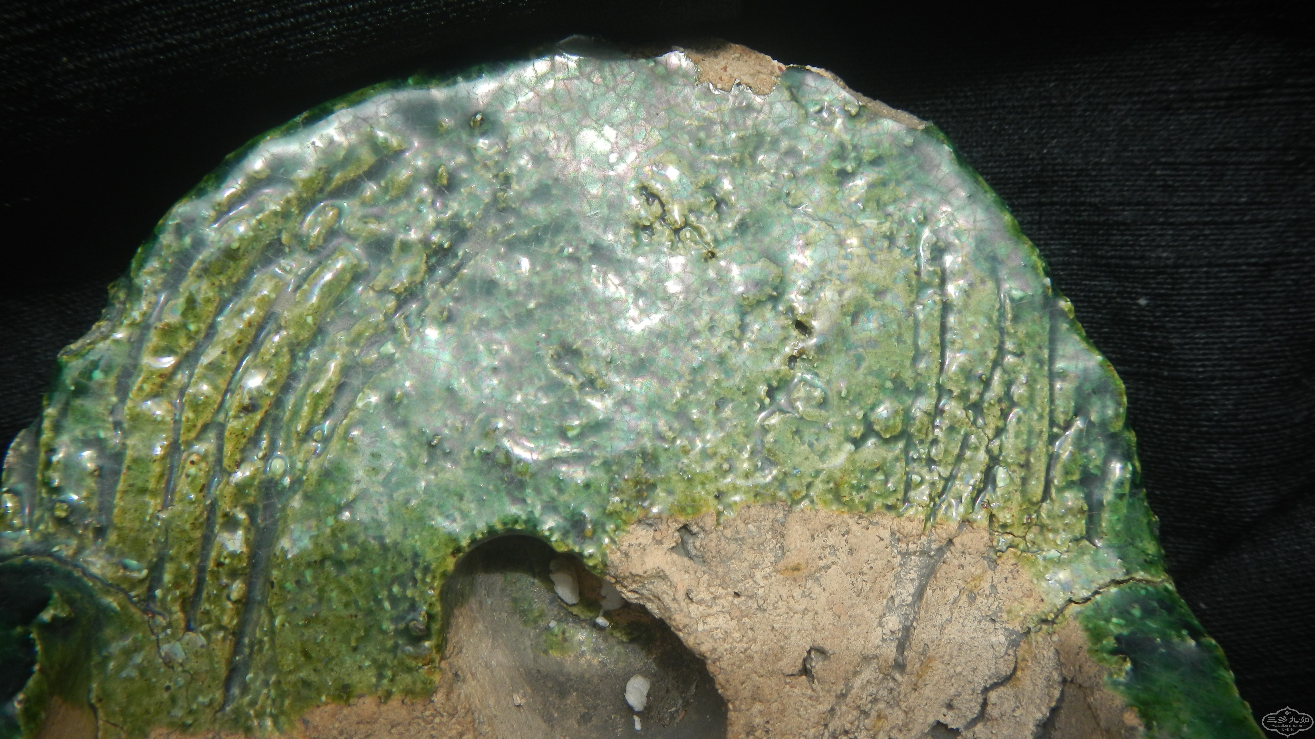 DSCN6964.JPG