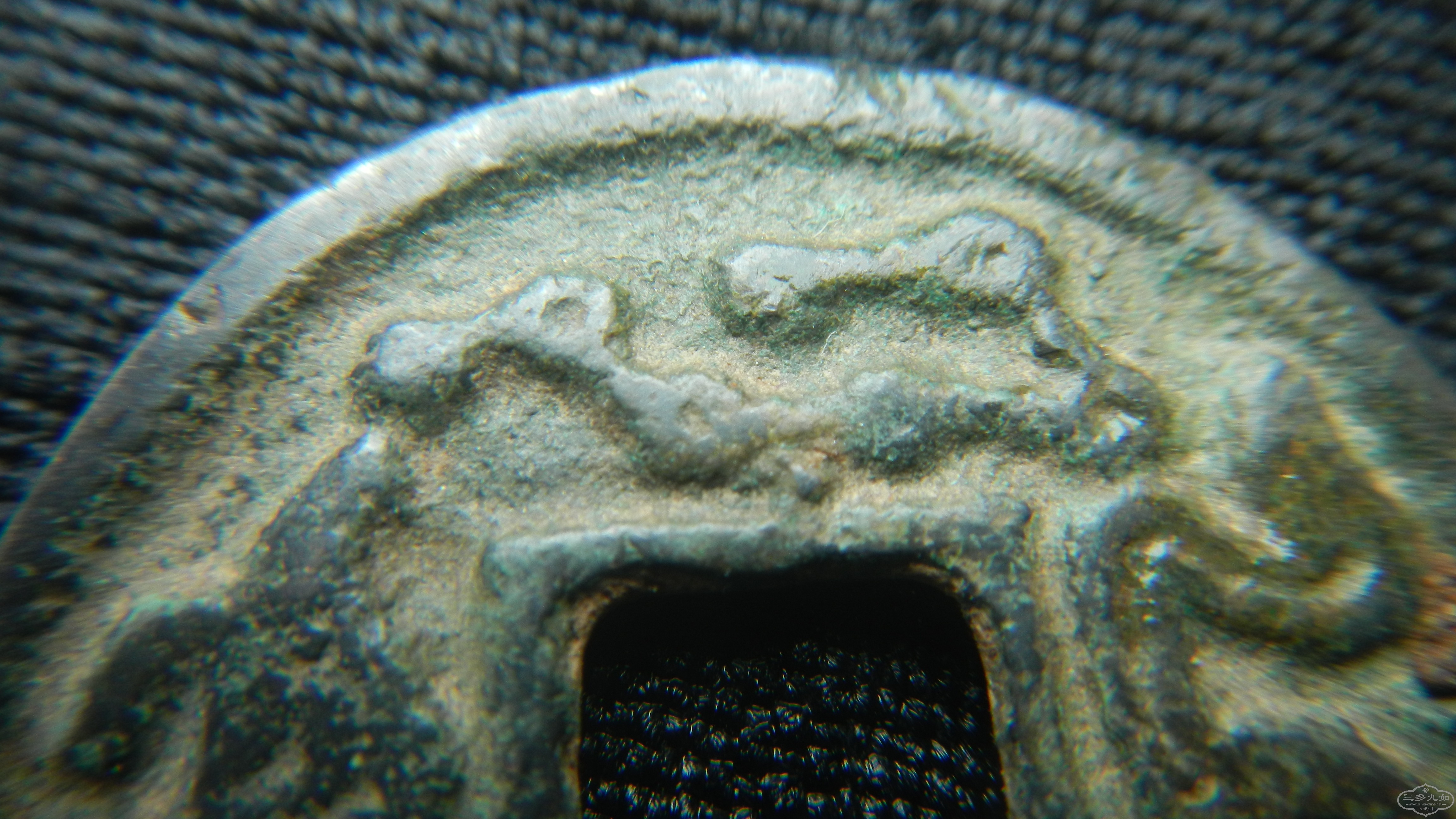 DSCN6891.JPG