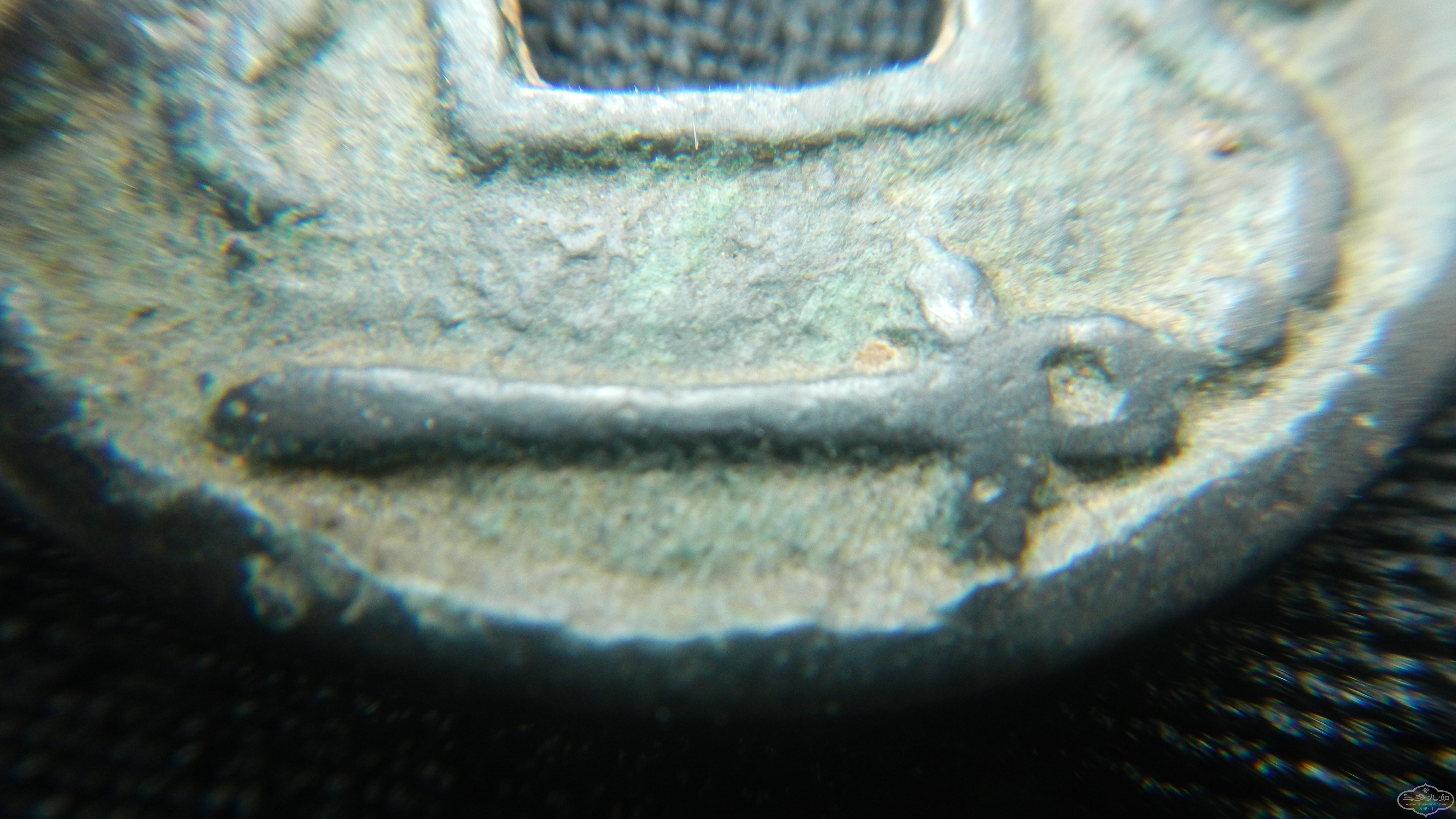 DSCN6892.JPG
