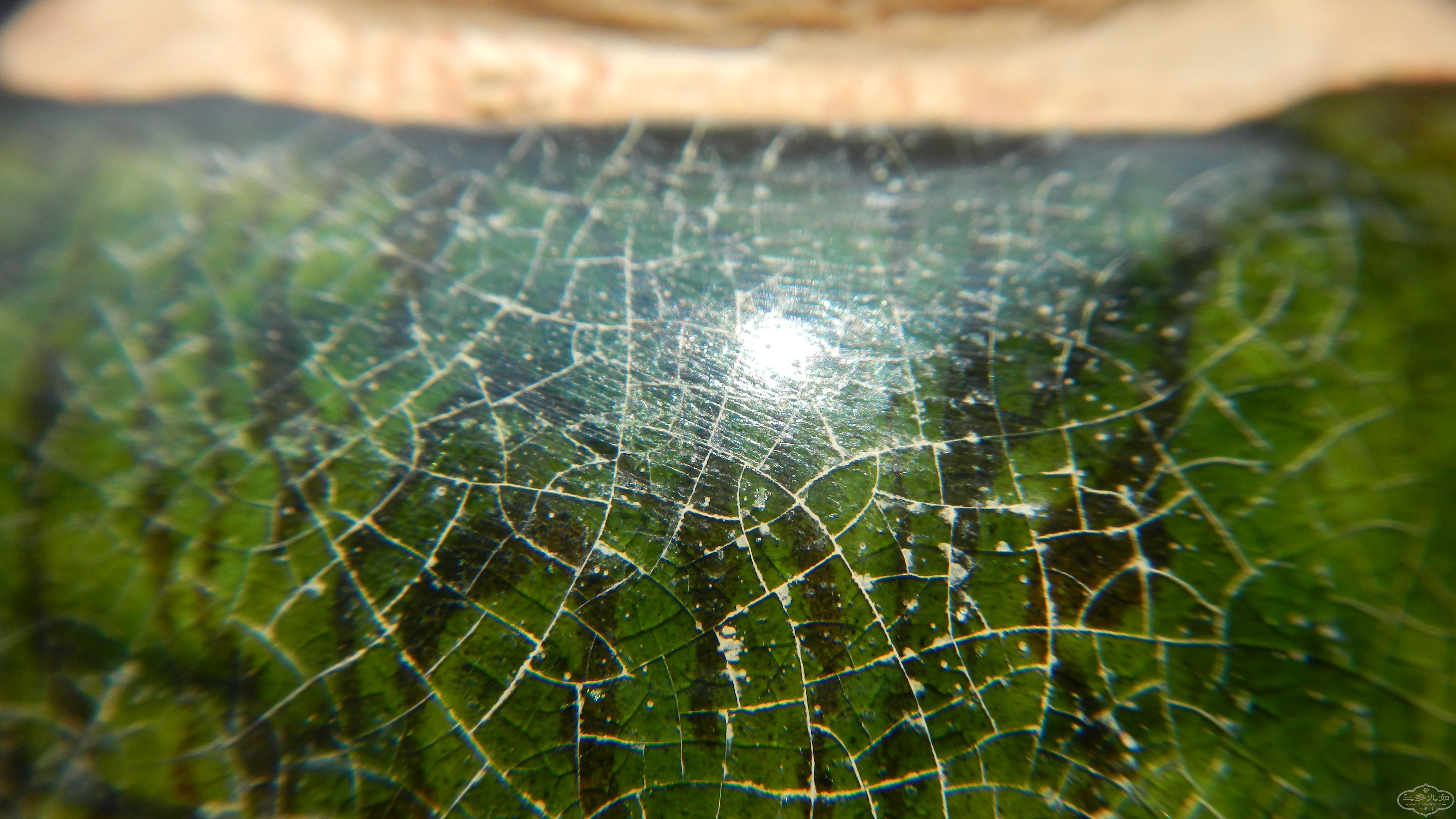 DSCN7237.JPG