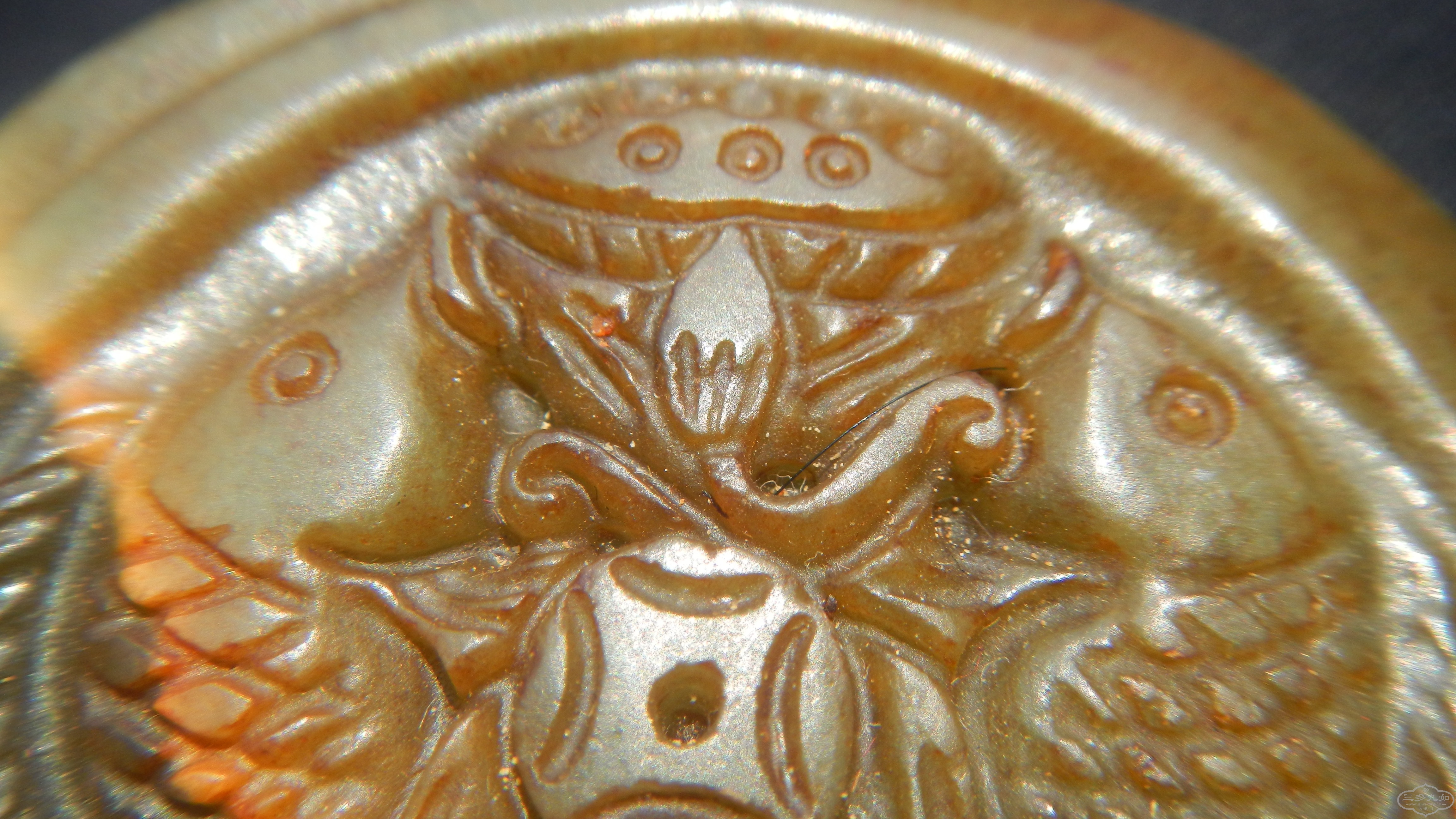 DSCN8206.JPG