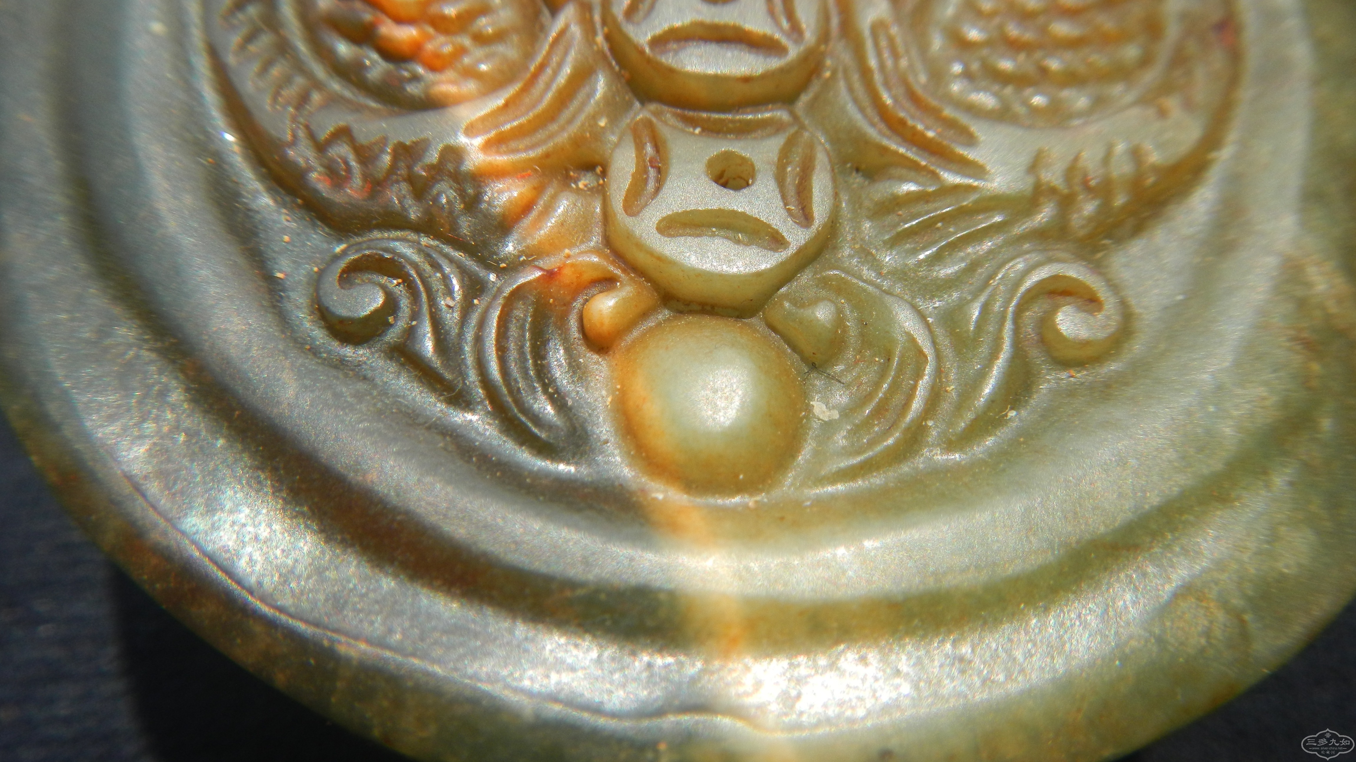 DSCN8207.JPG
