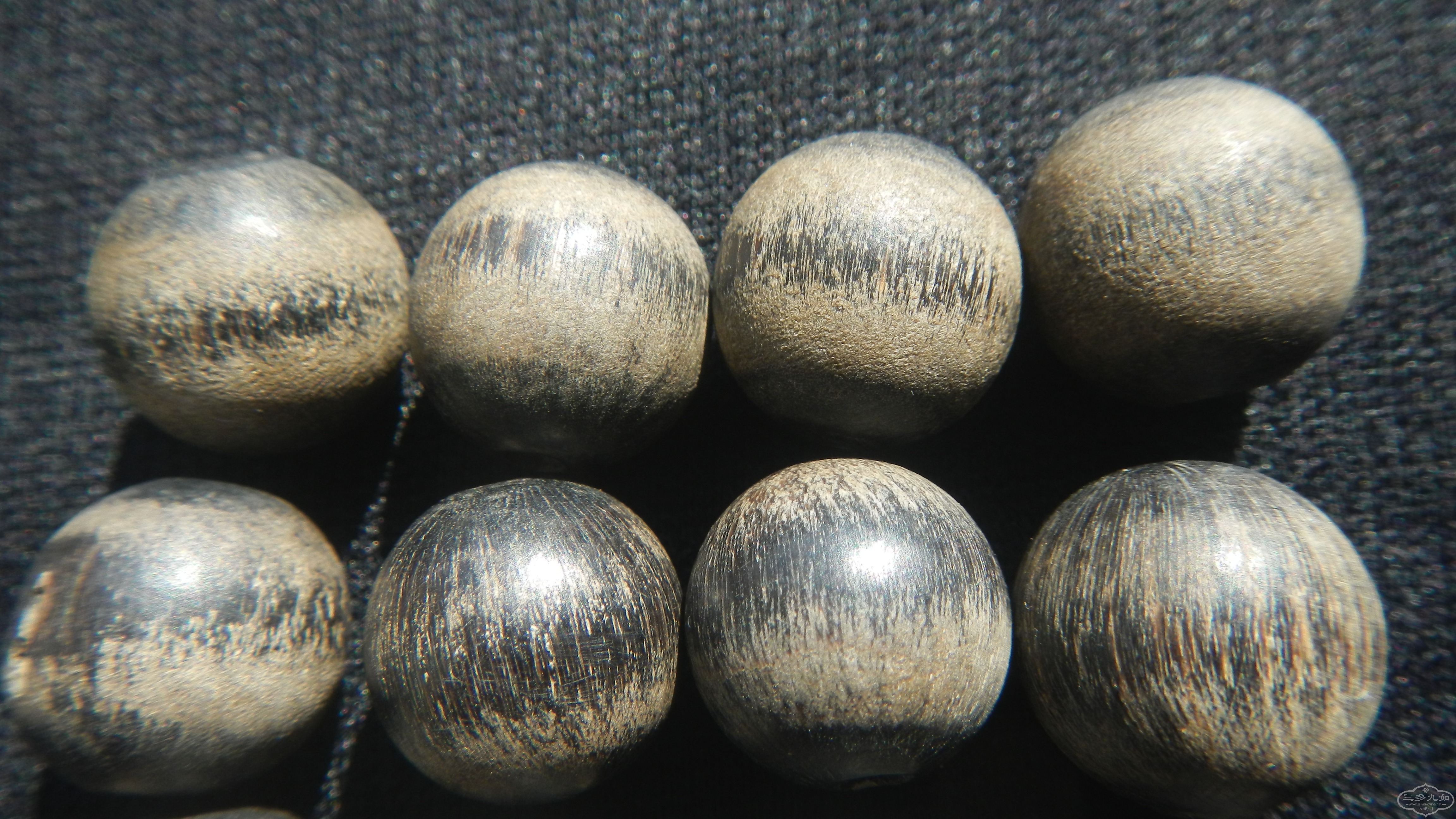 DSCN8314.JPG
