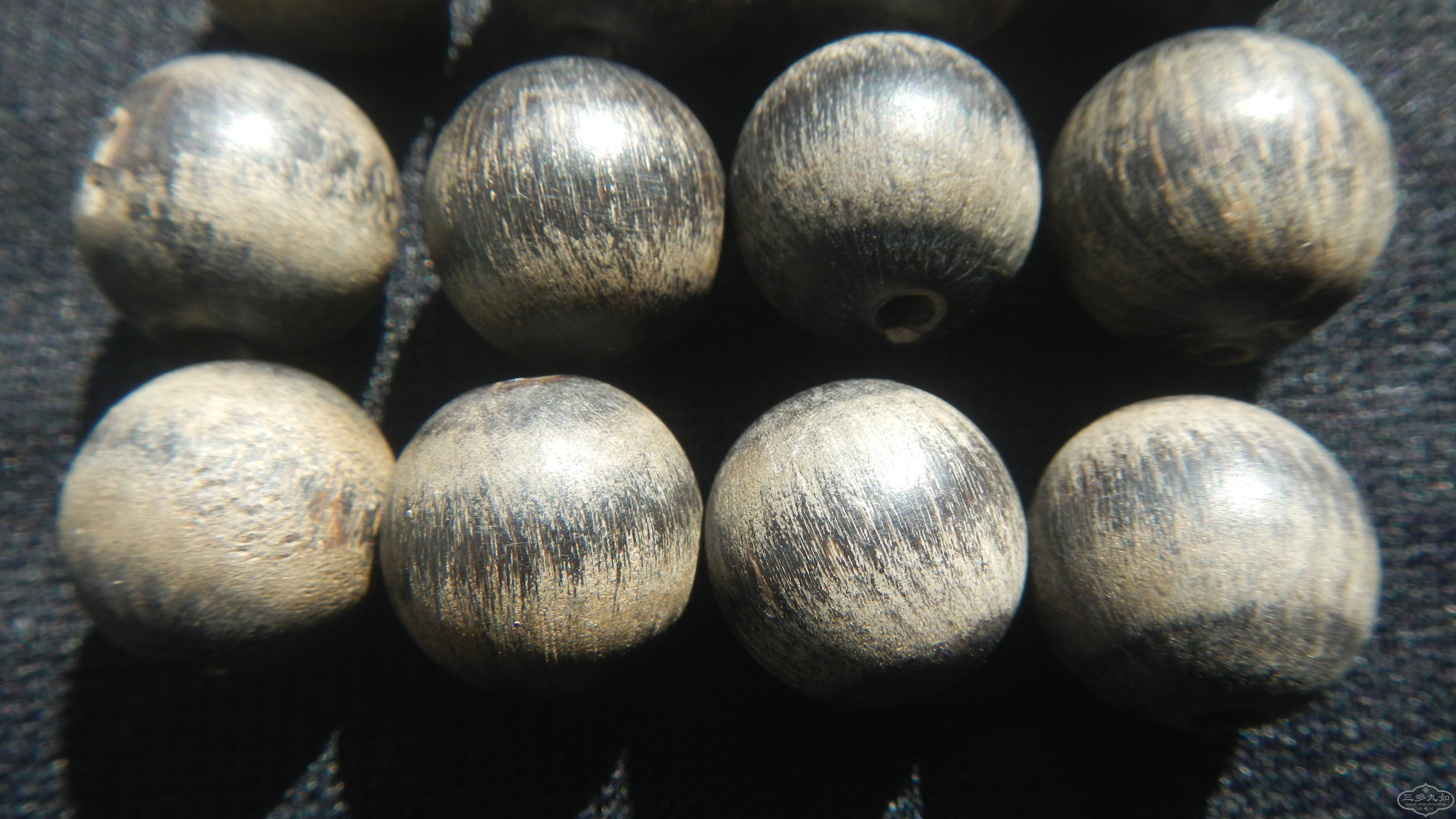 DSCN8315.JPG