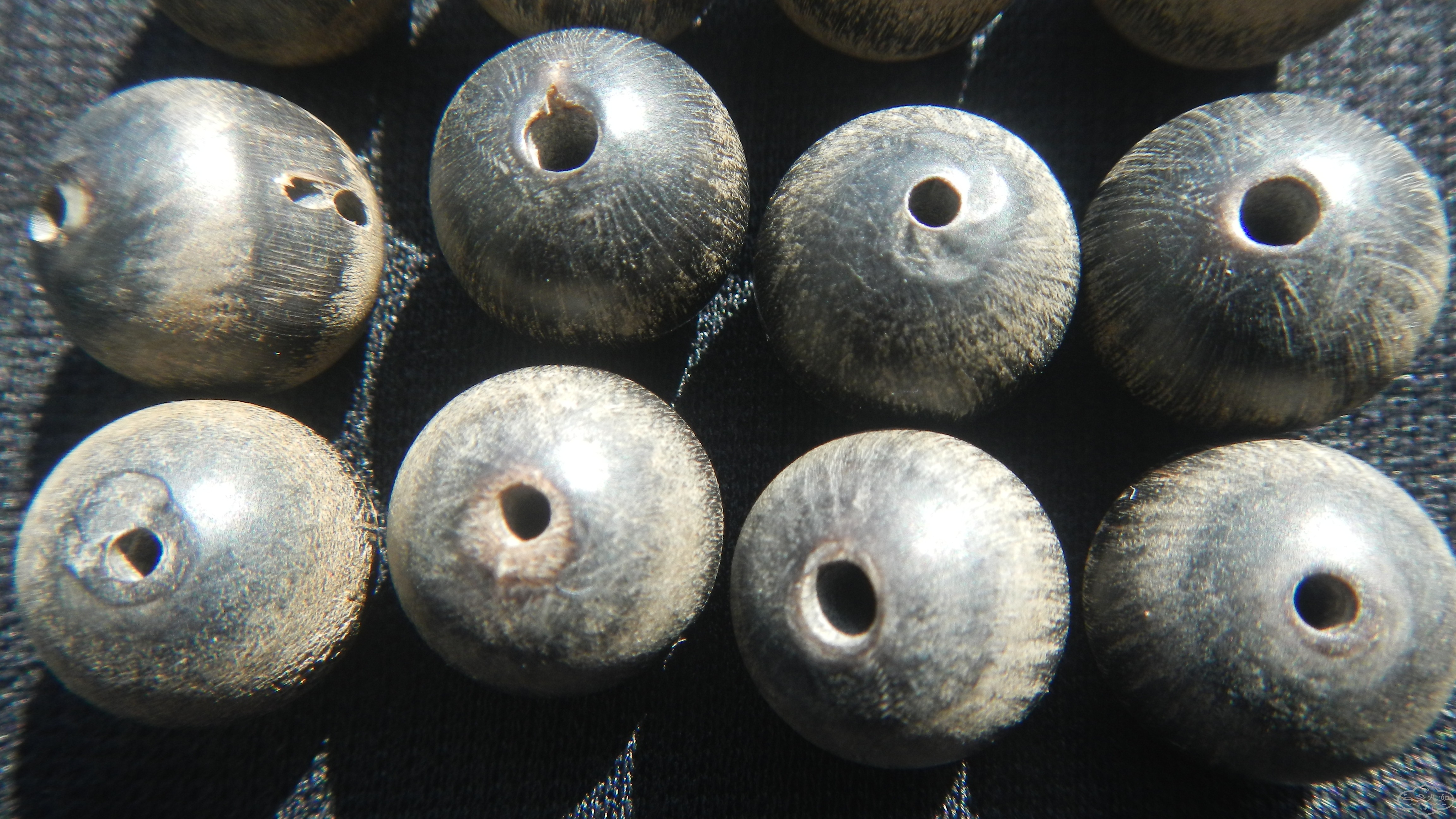 DSCN8318.JPG
