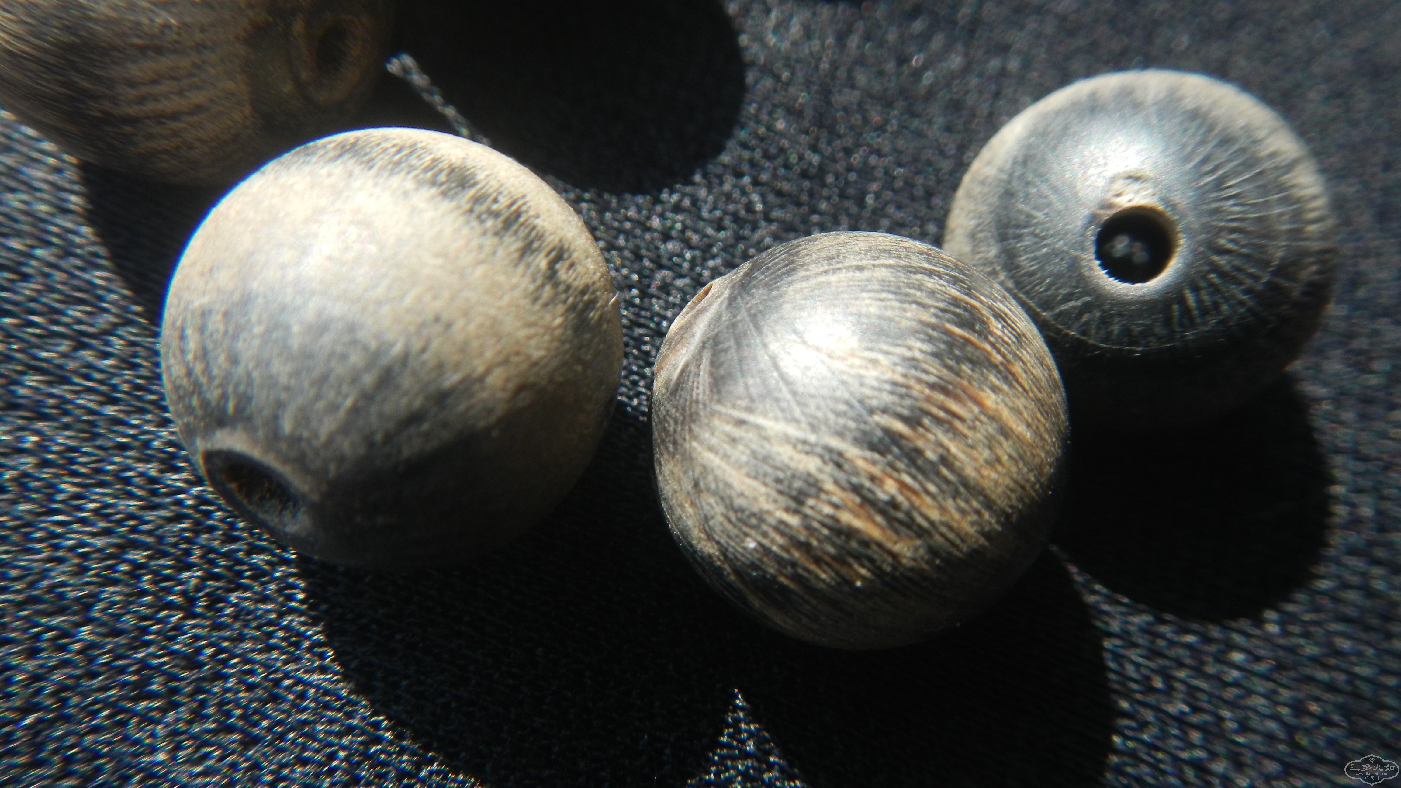 DSCN8323.JPG