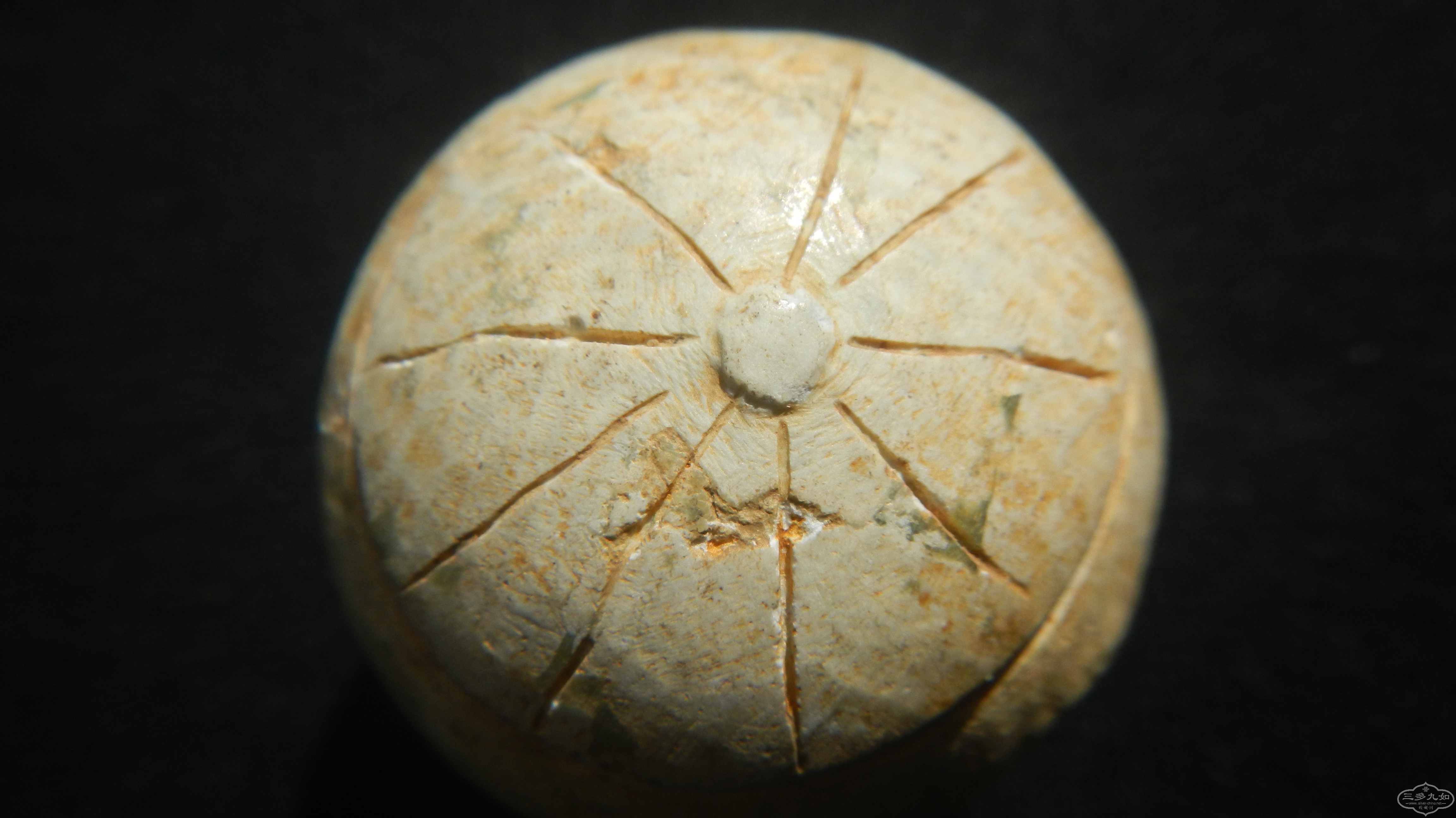 DSCN8343.JPG