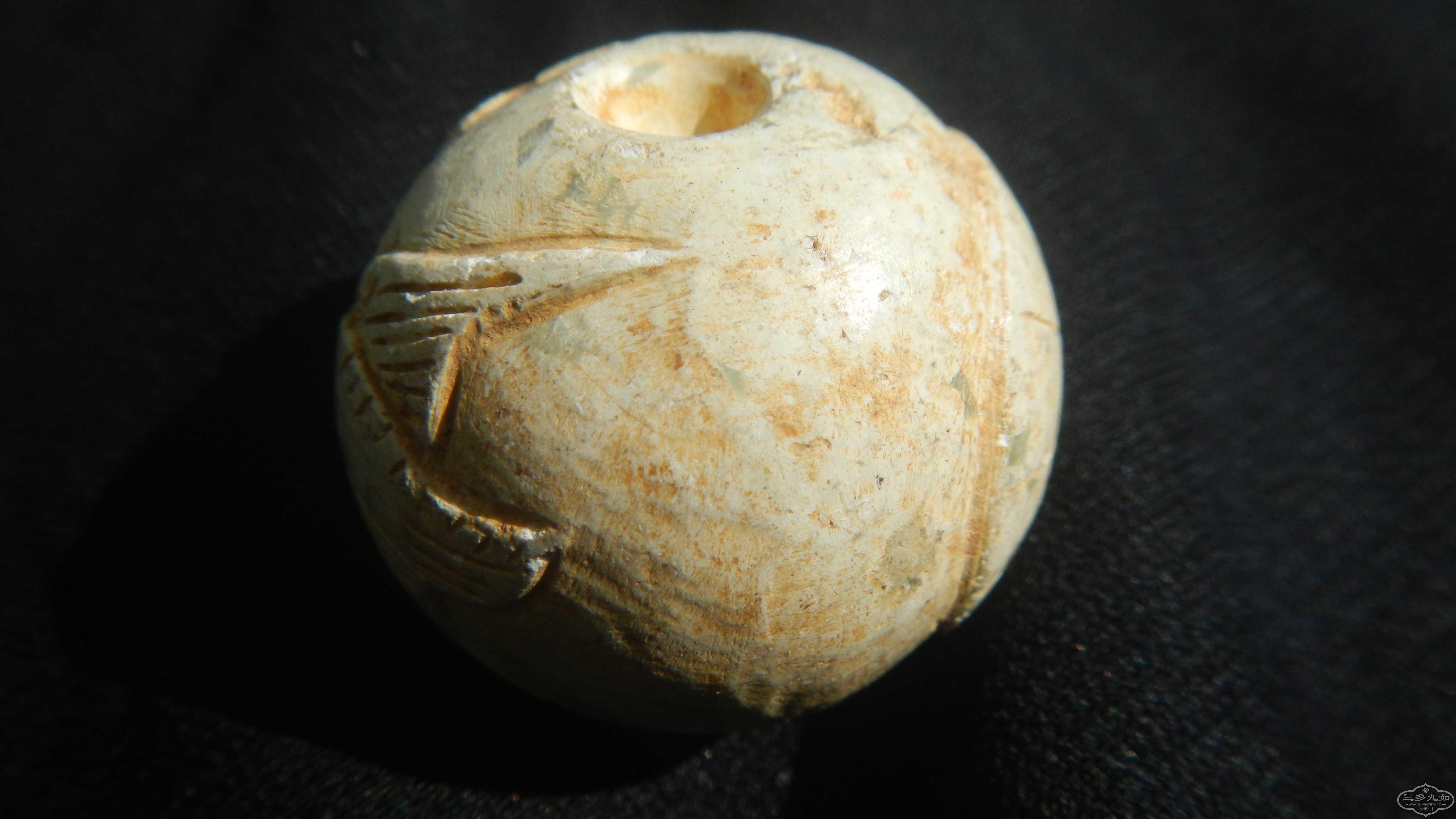 DSCN8350.JPG