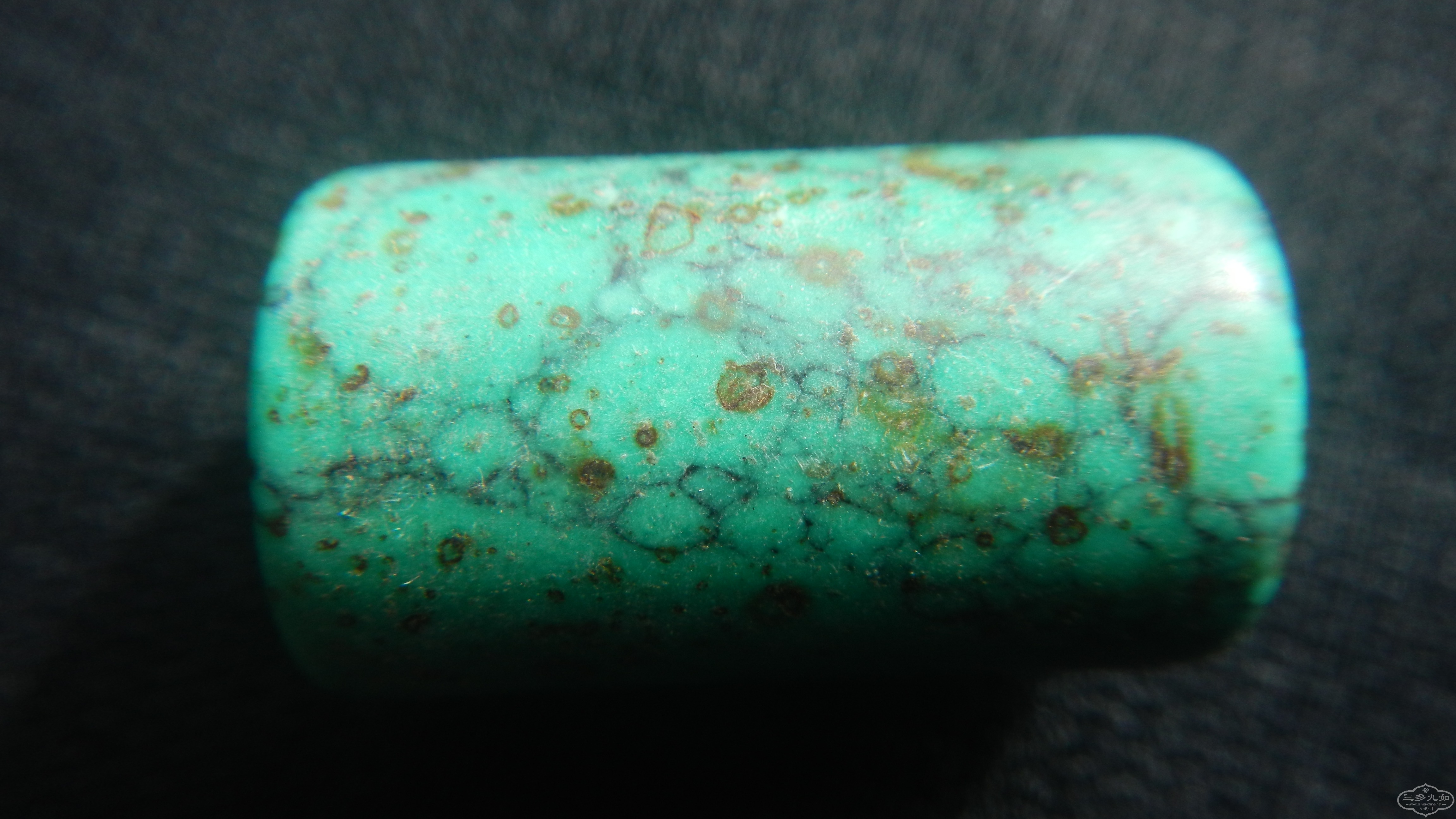 DSCN8380.JPG