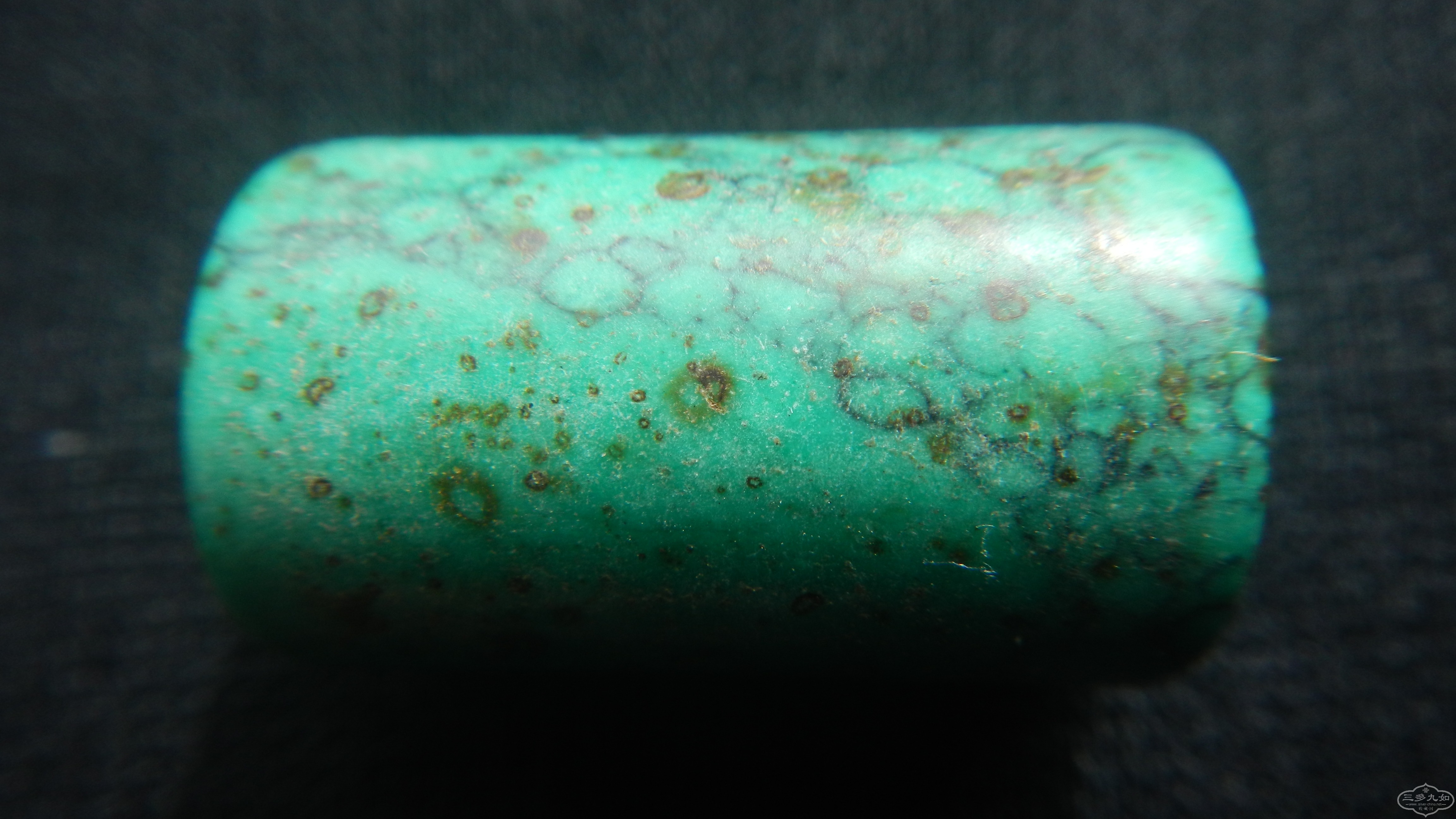 DSCN8386.JPG