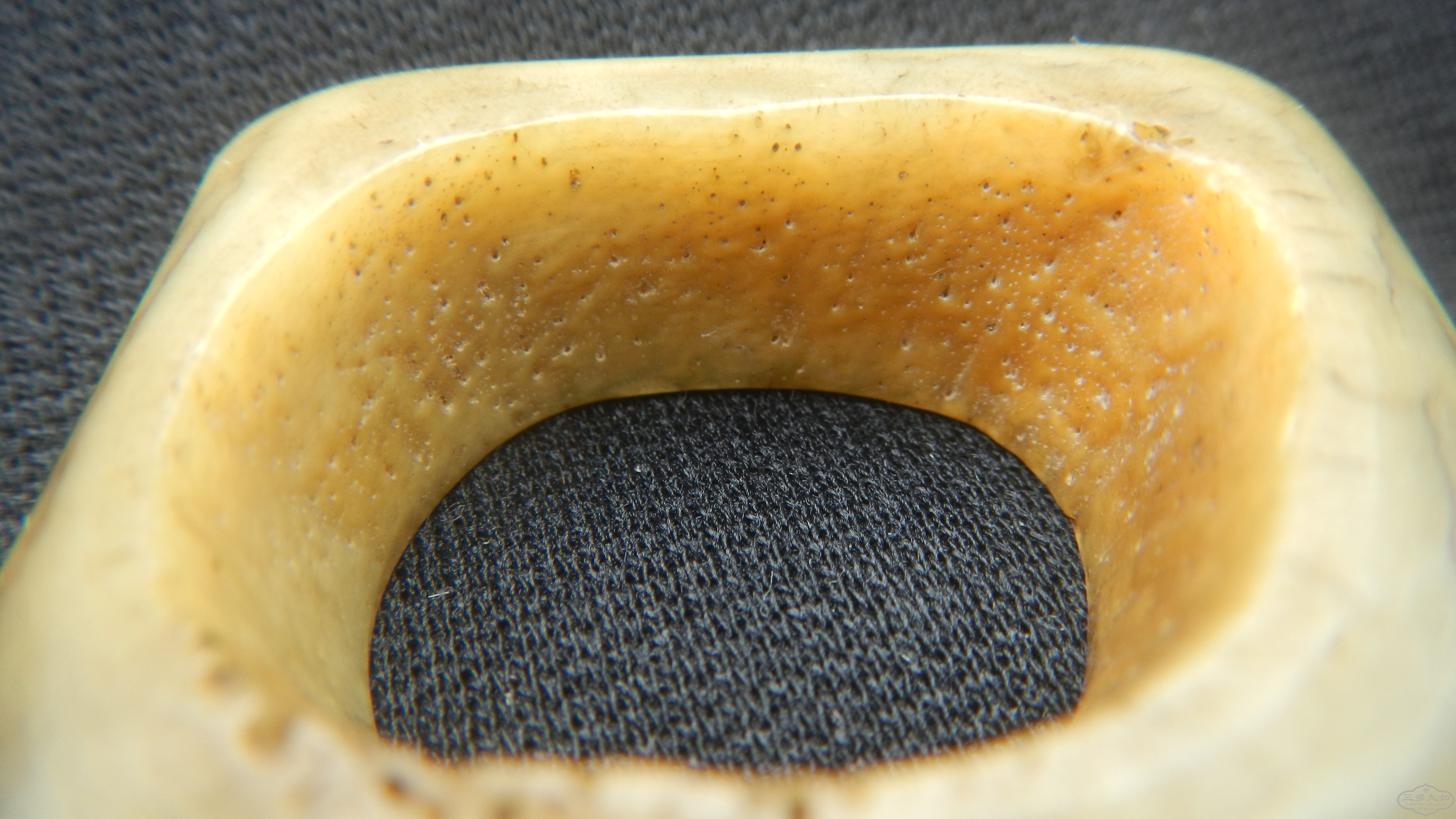 DSCN8397.JPG