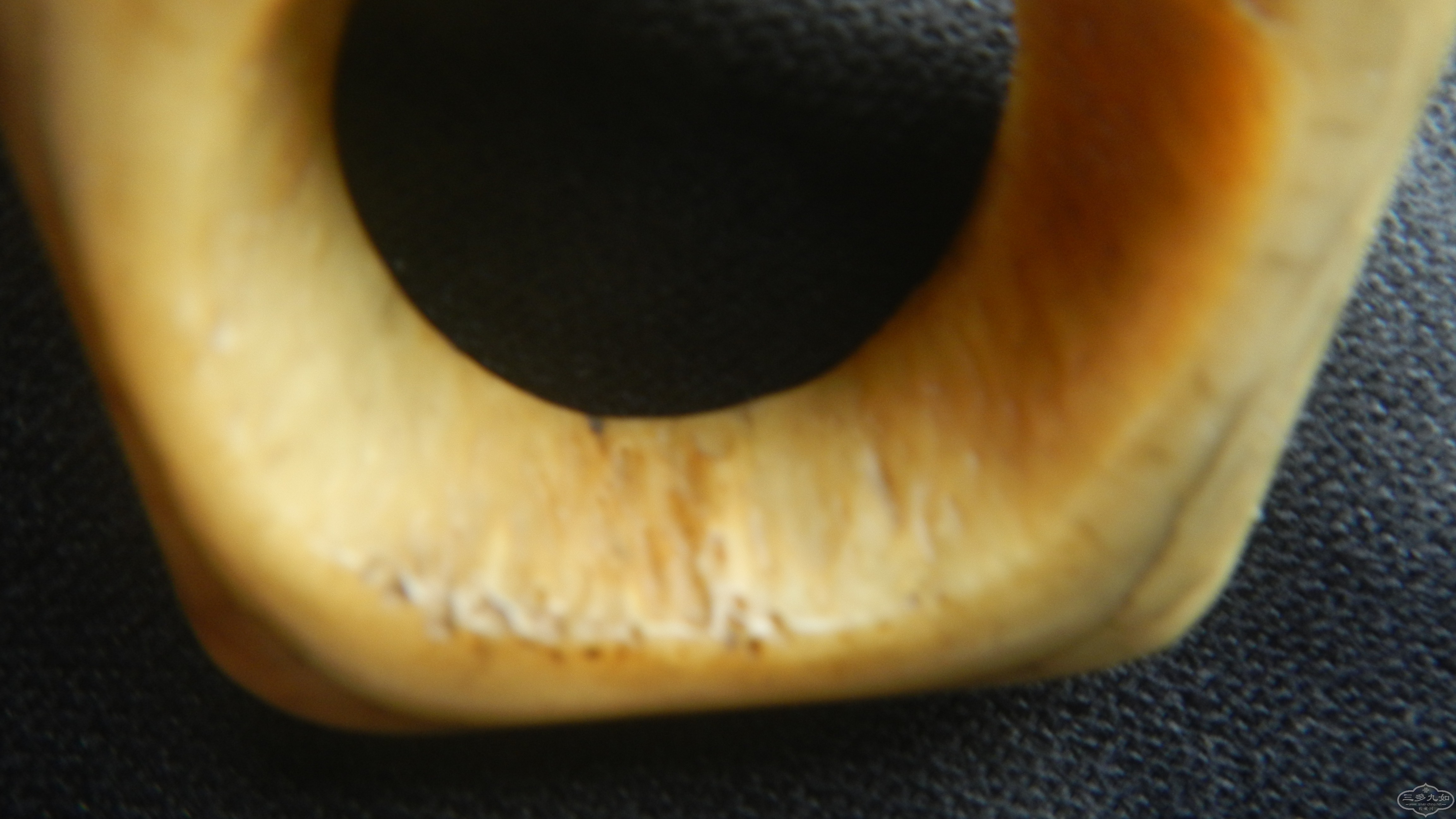 DSCN8402.JPG
