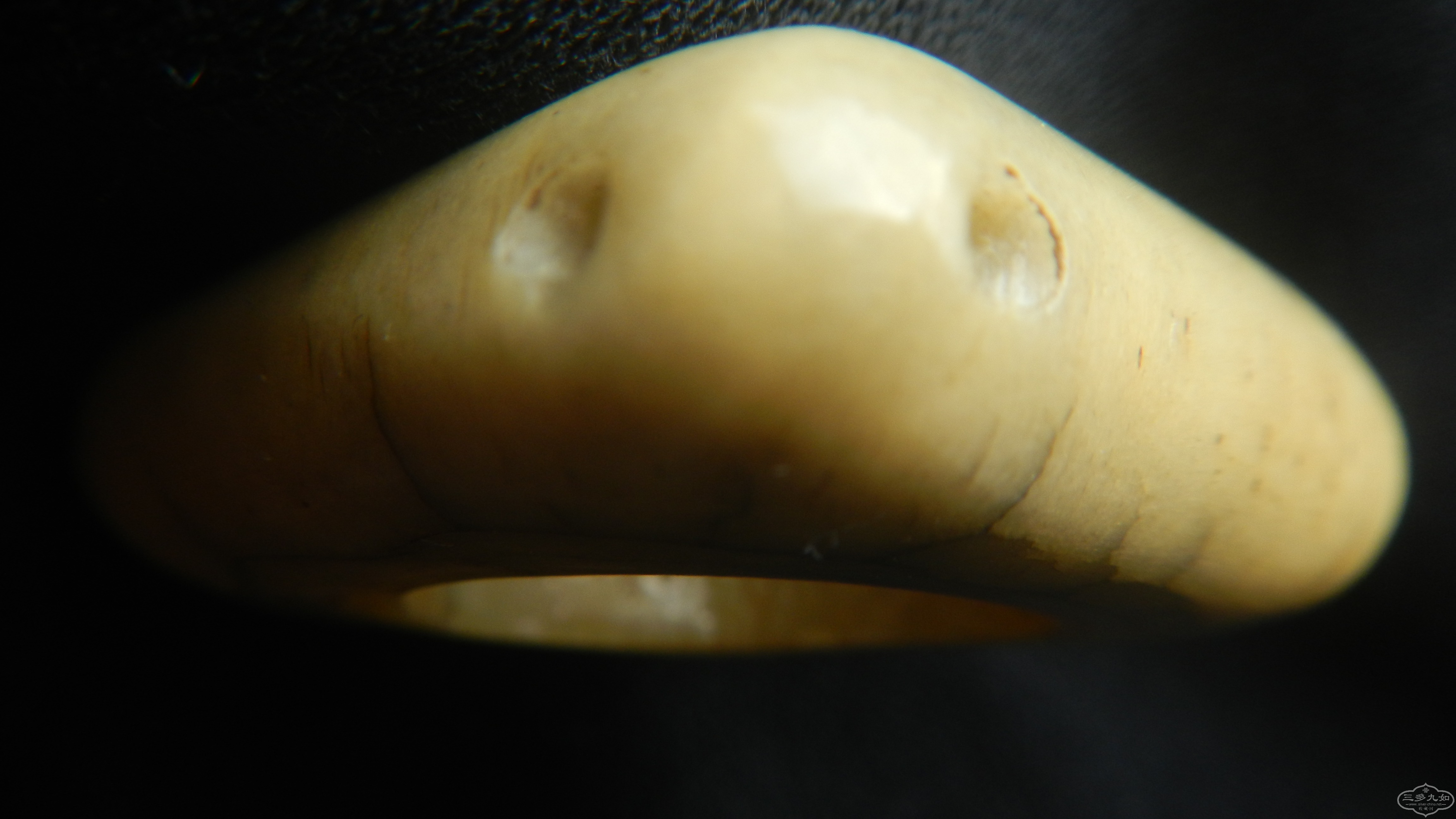 DSCN8404.JPG