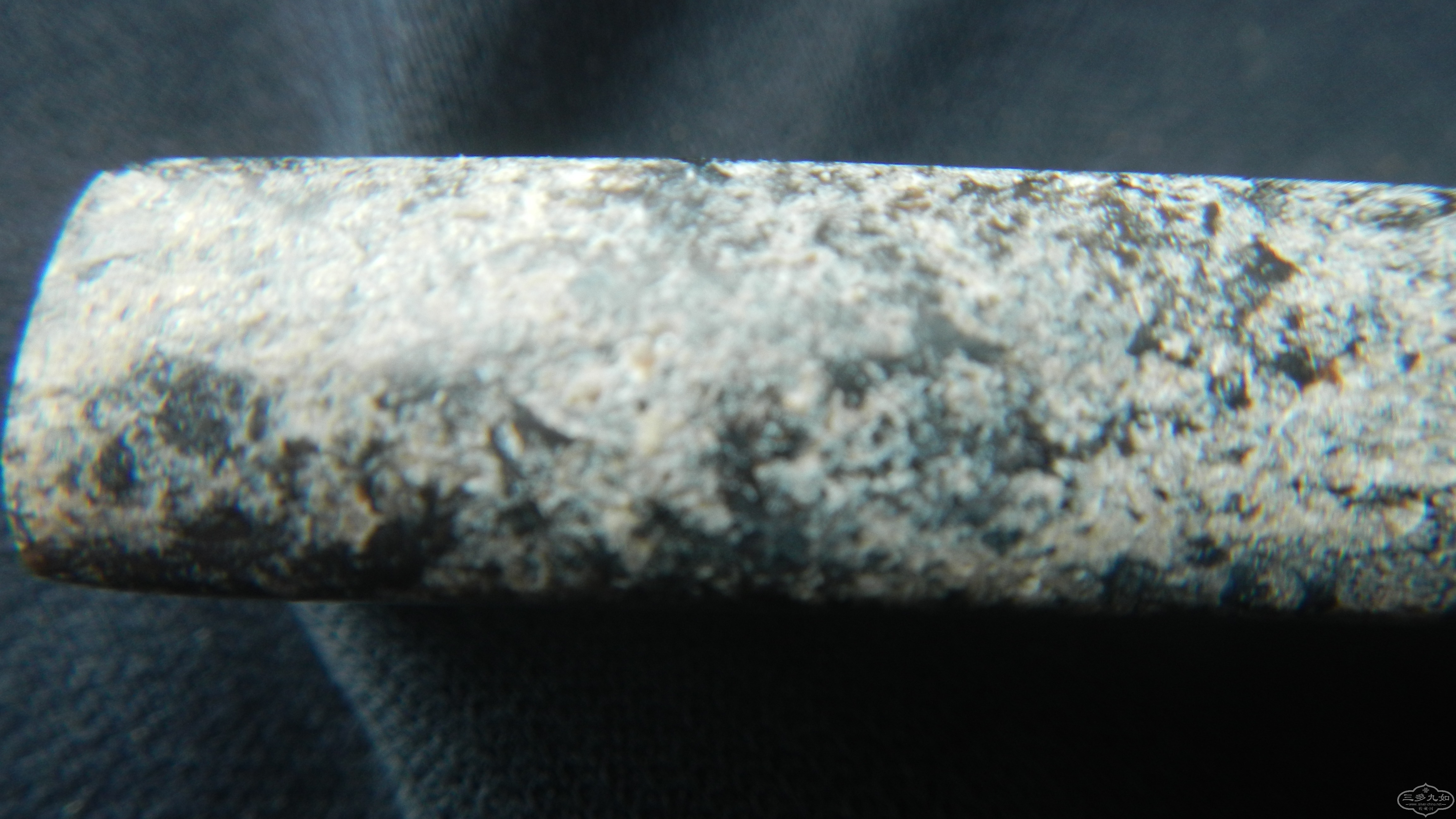 DSCN8430.JPG