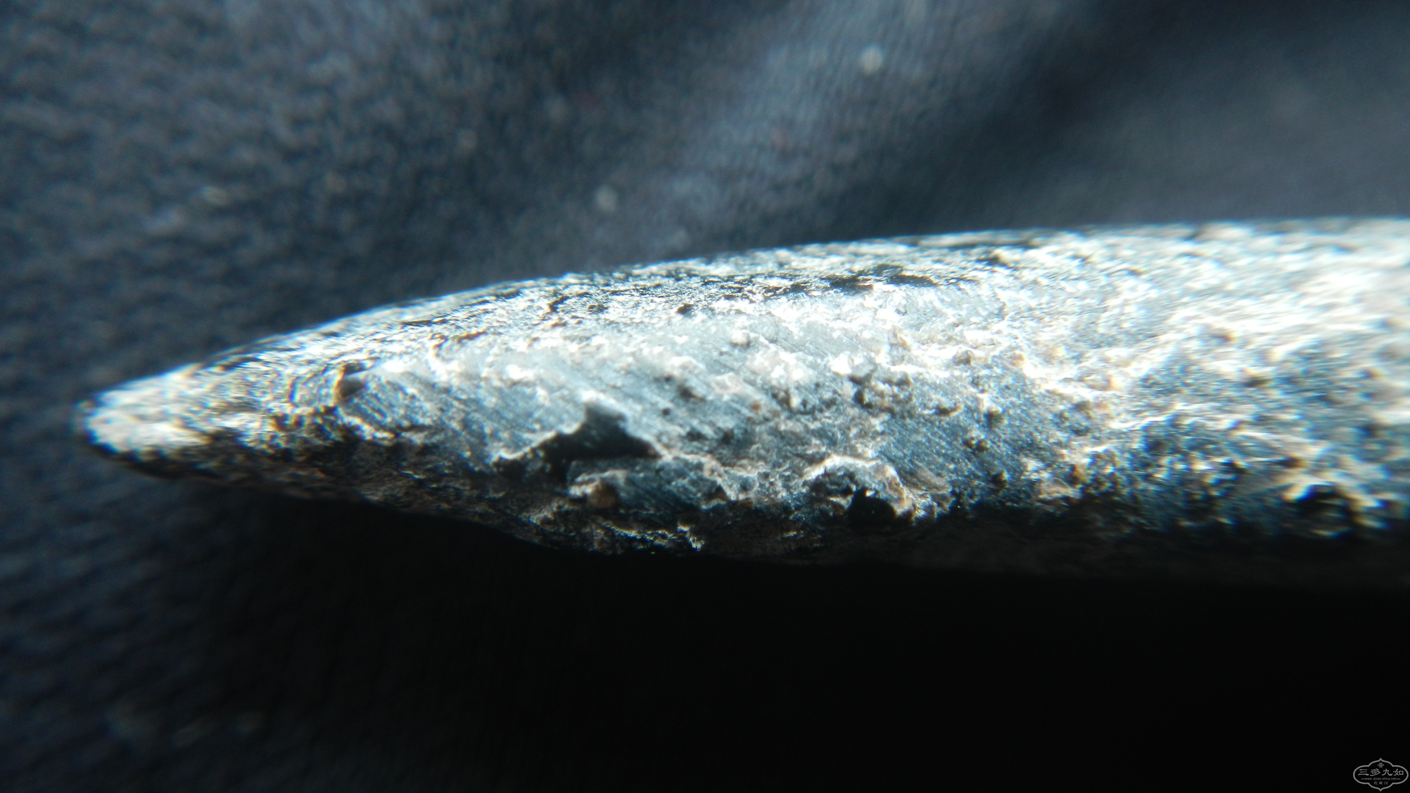 DSCN8431.JPG
