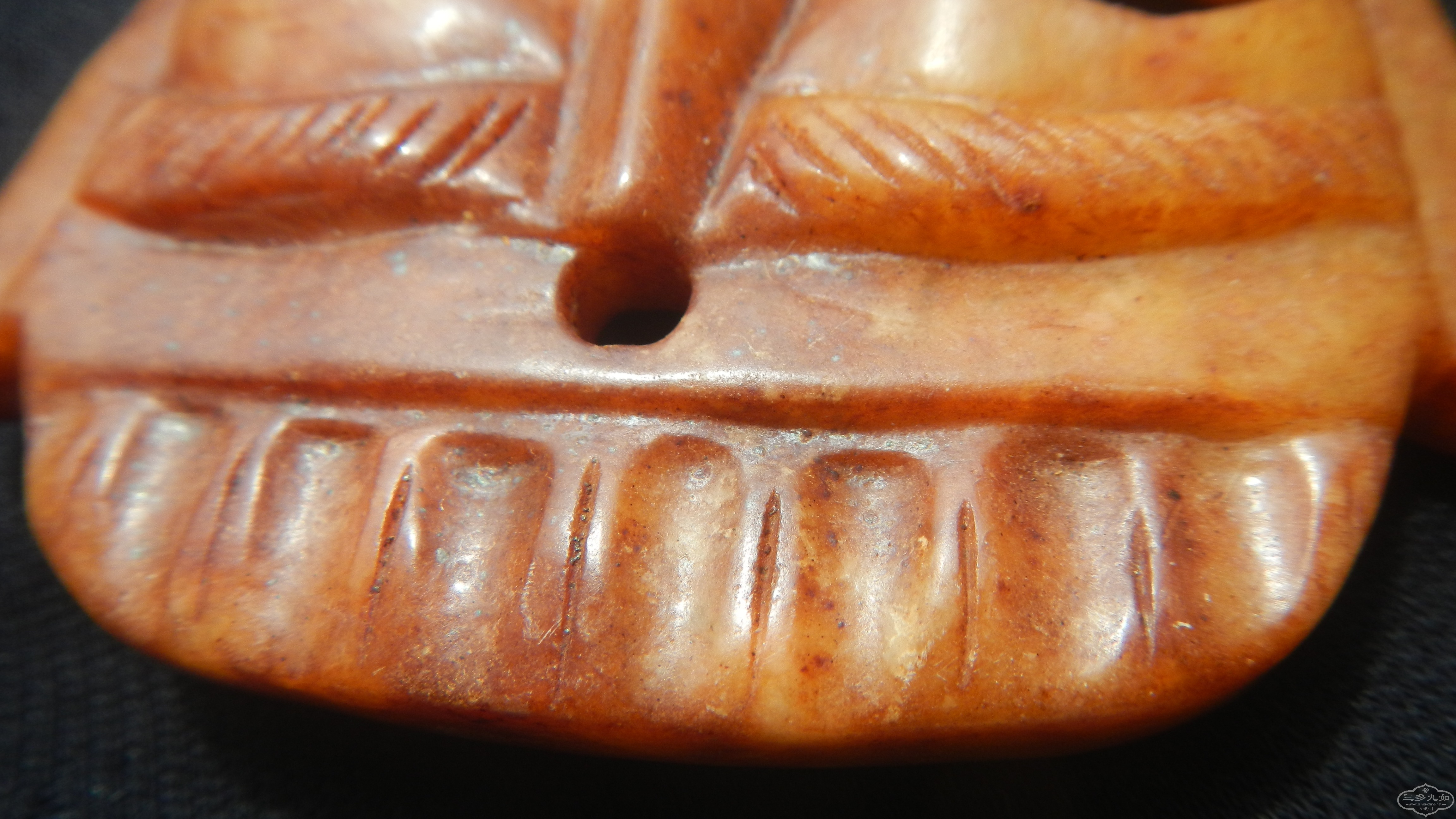 DSCN8420.JPG