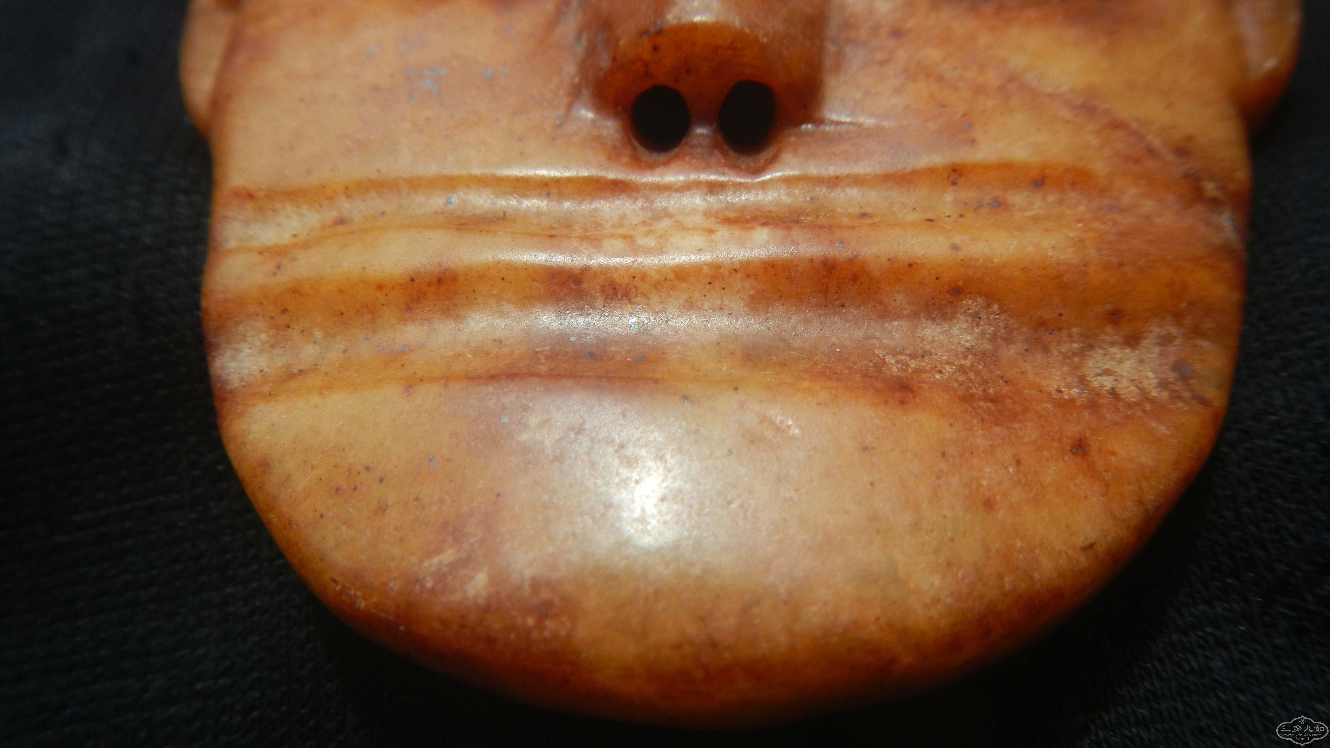 DSCN8421.JPG