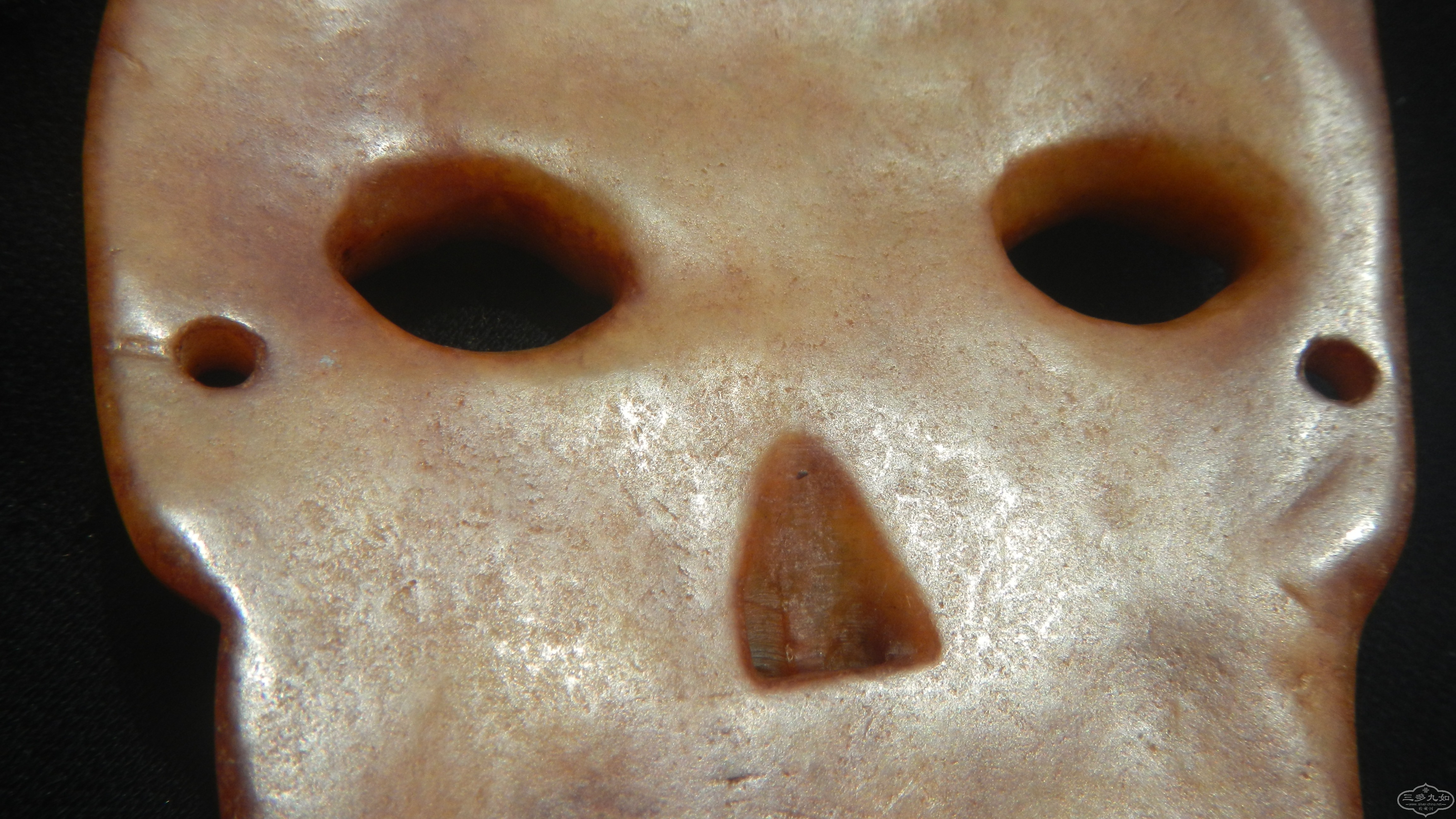 DSCN8422.JPG