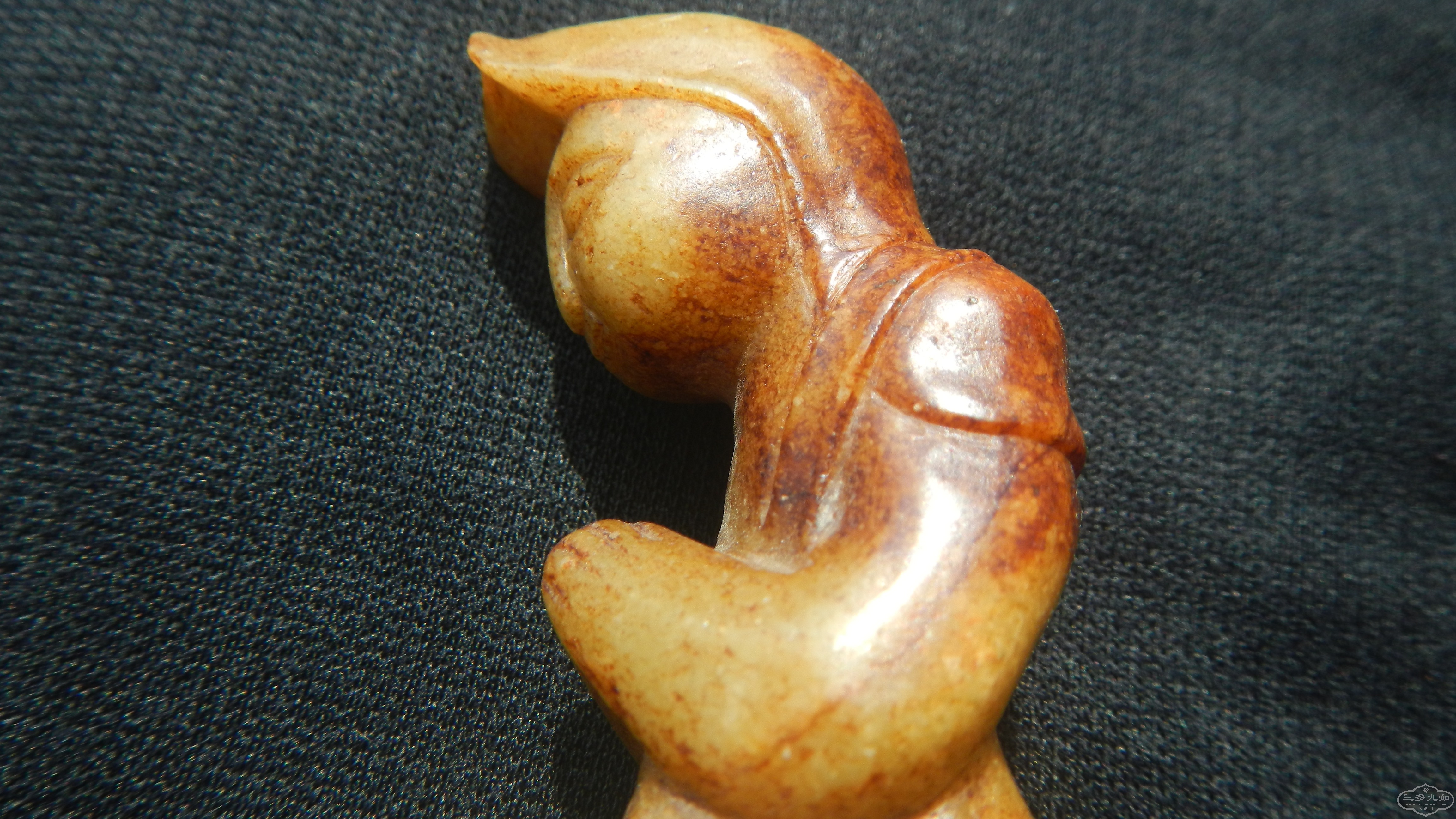 DSCN8506.JPG