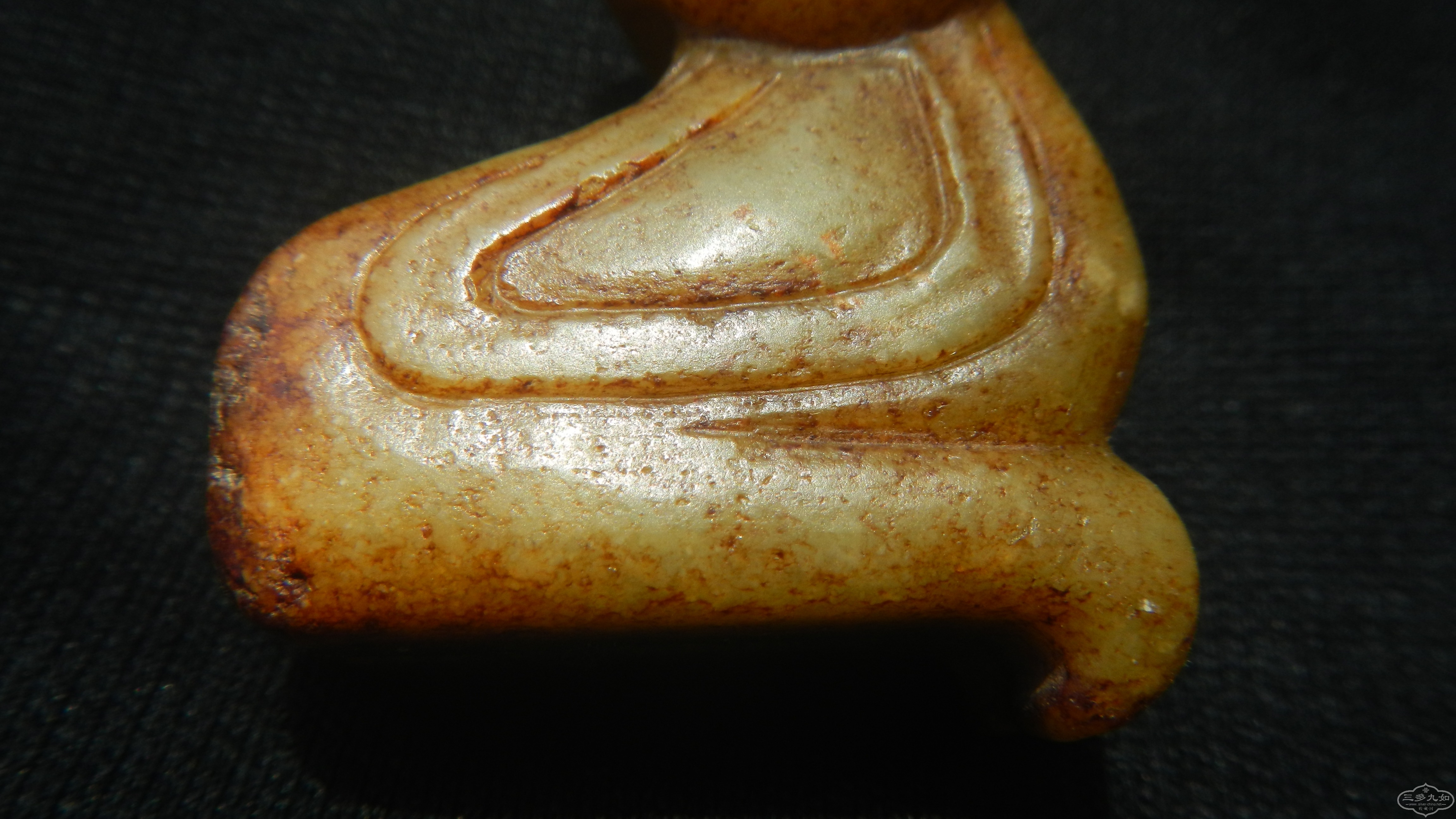 DSCN8507.JPG