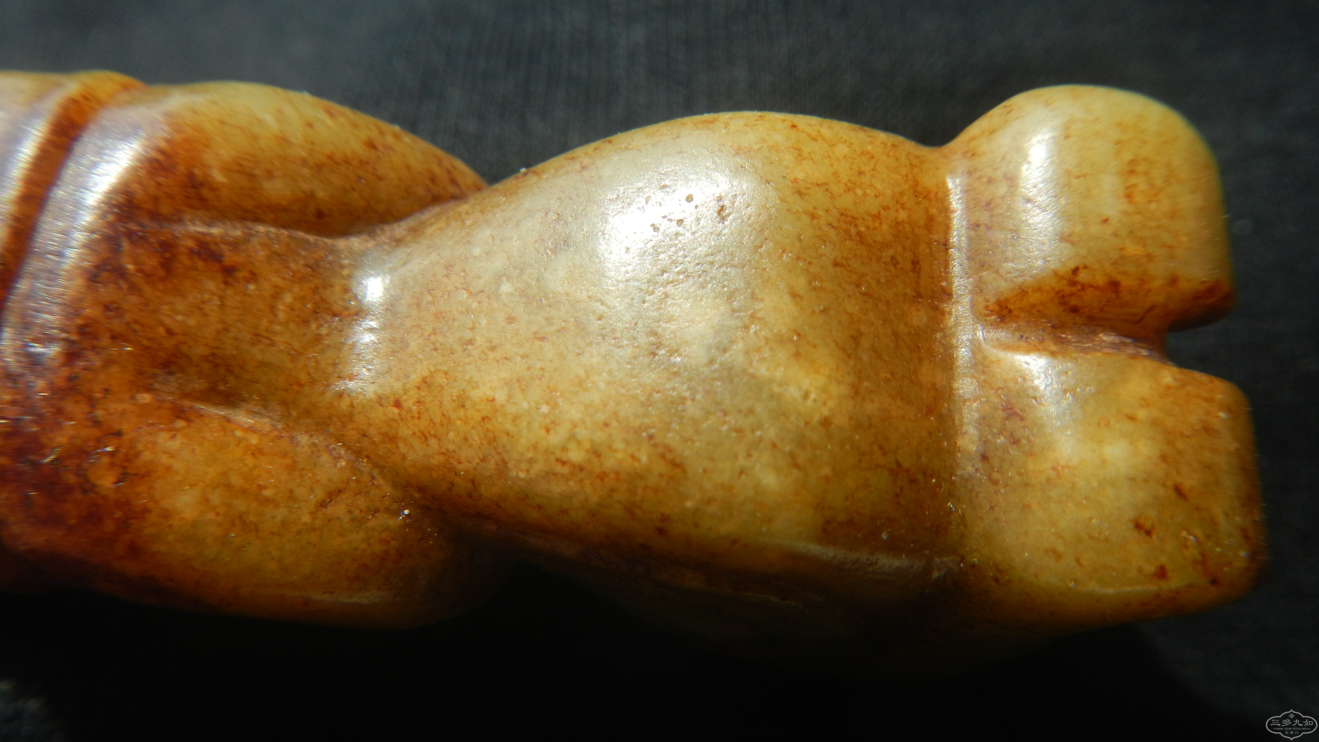 DSCN8509.JPG