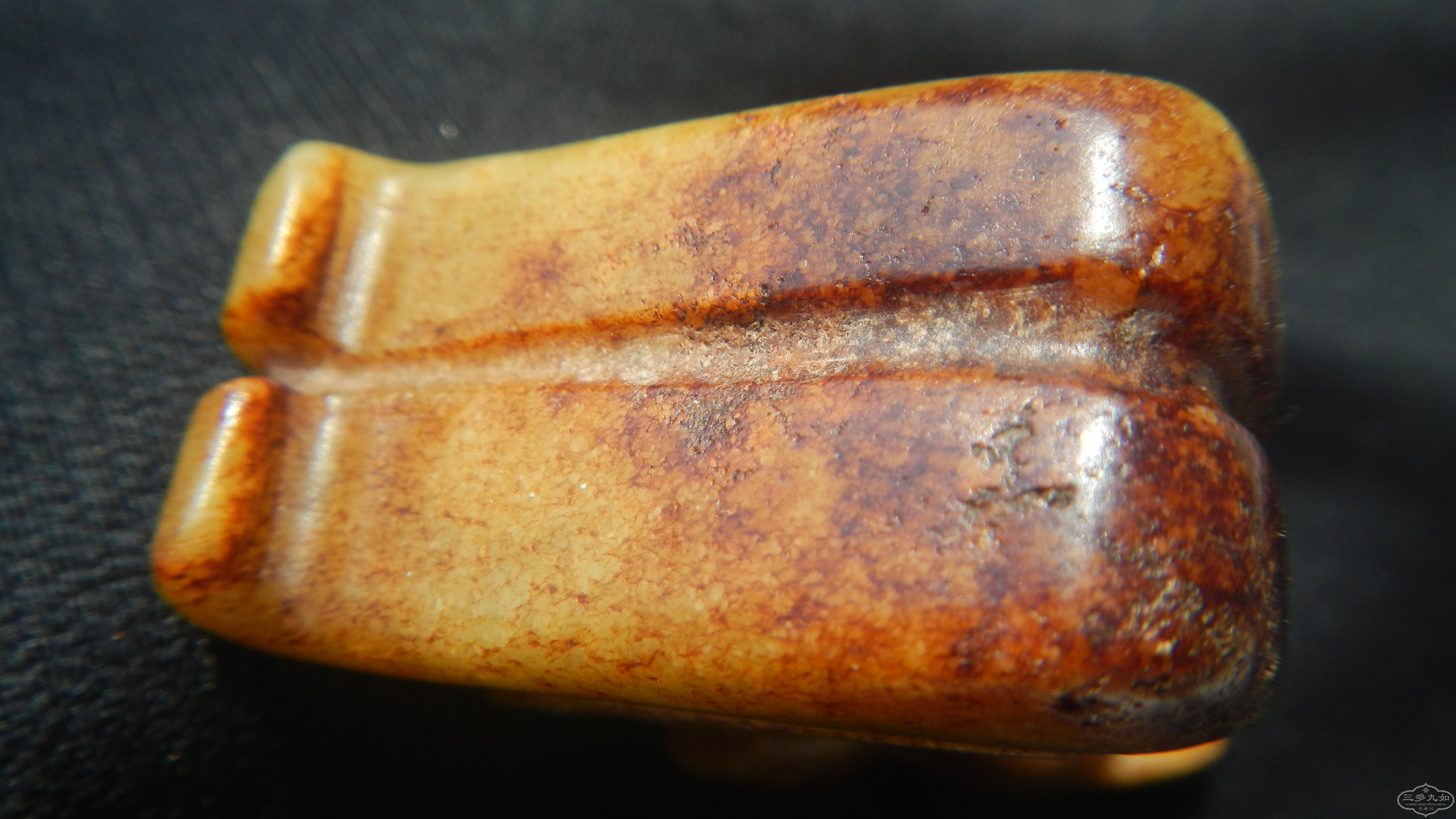 DSCN8510.JPG