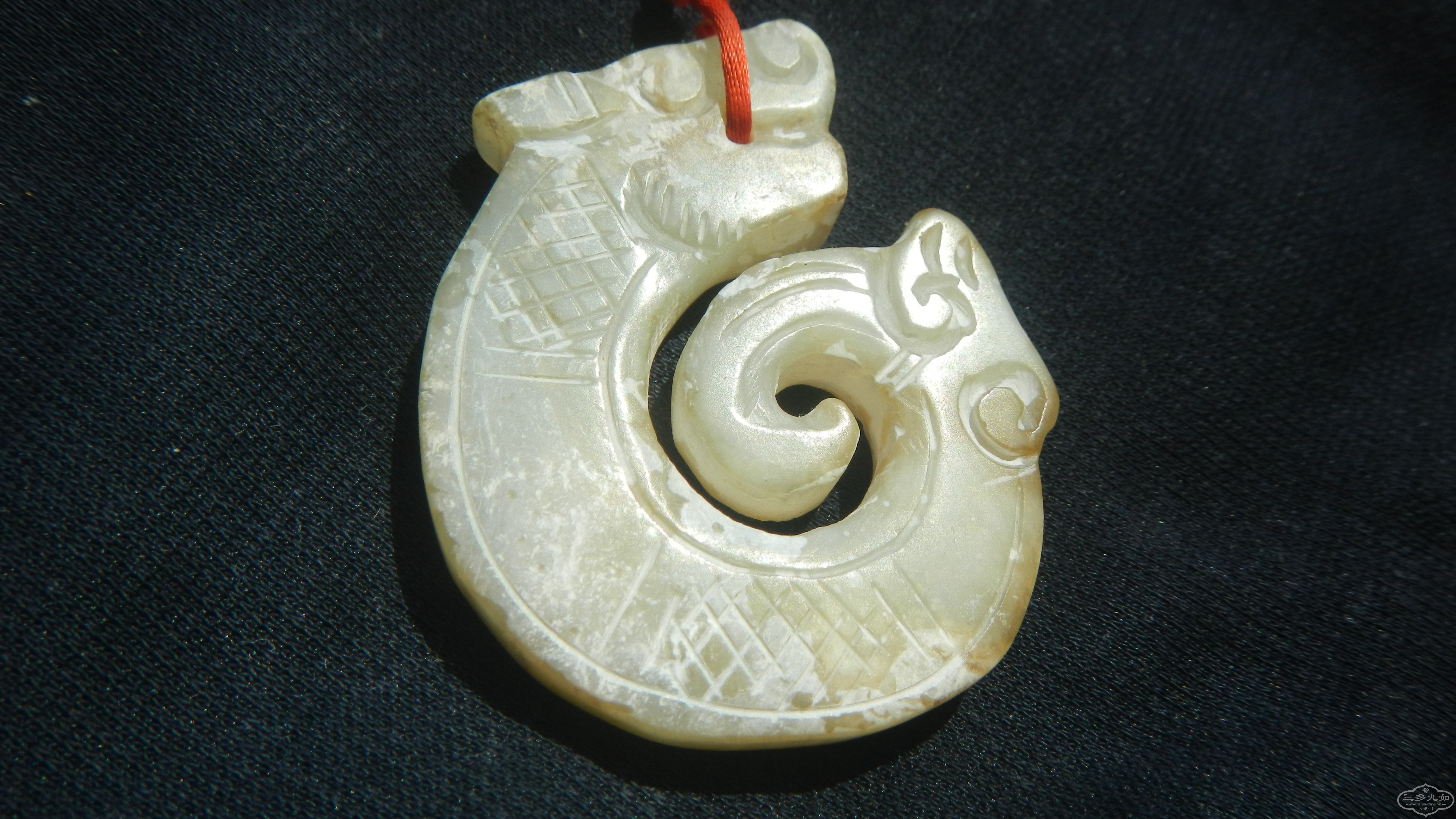 DSCN8455.JPG