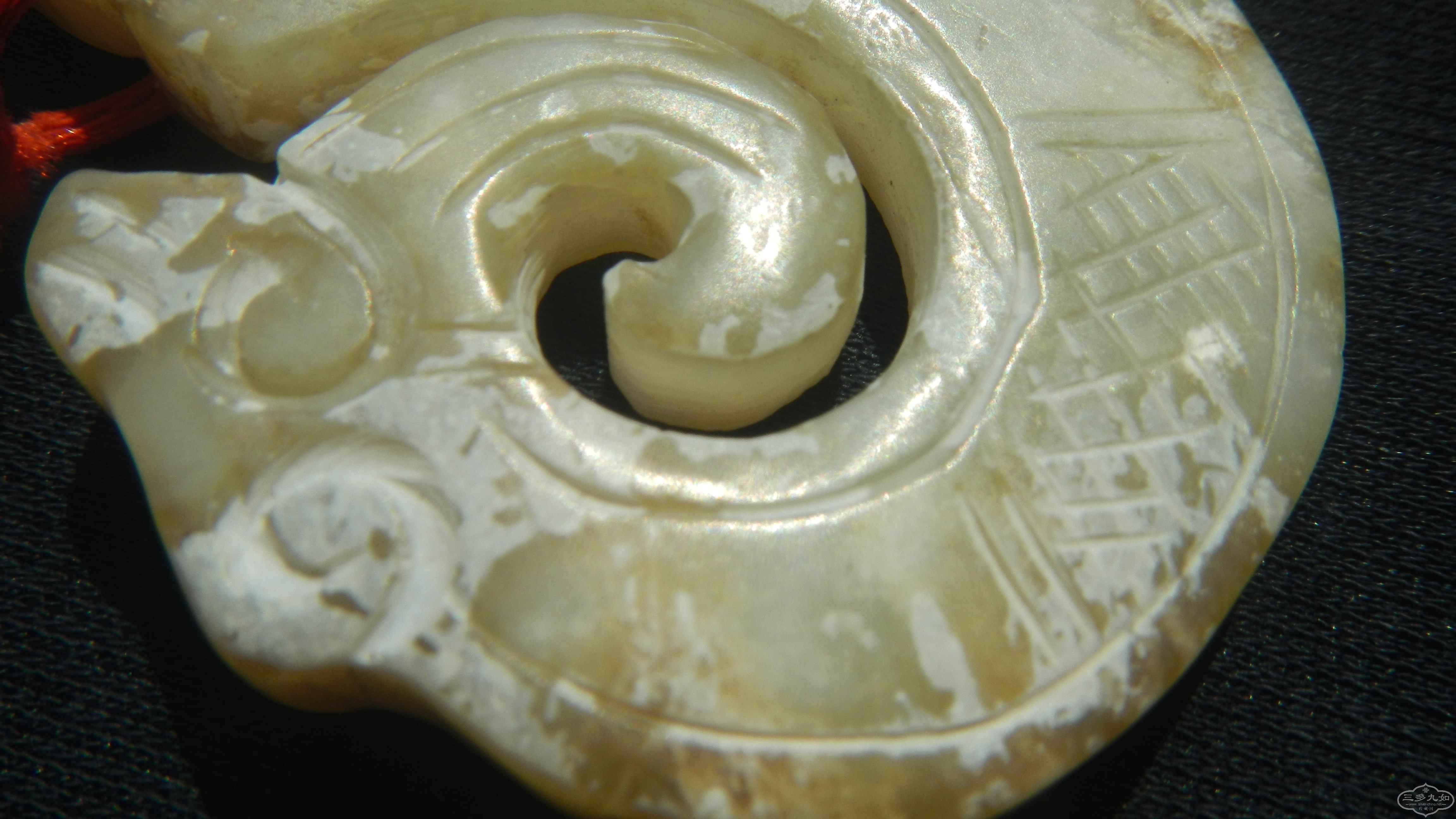 DSCN8460.JPG