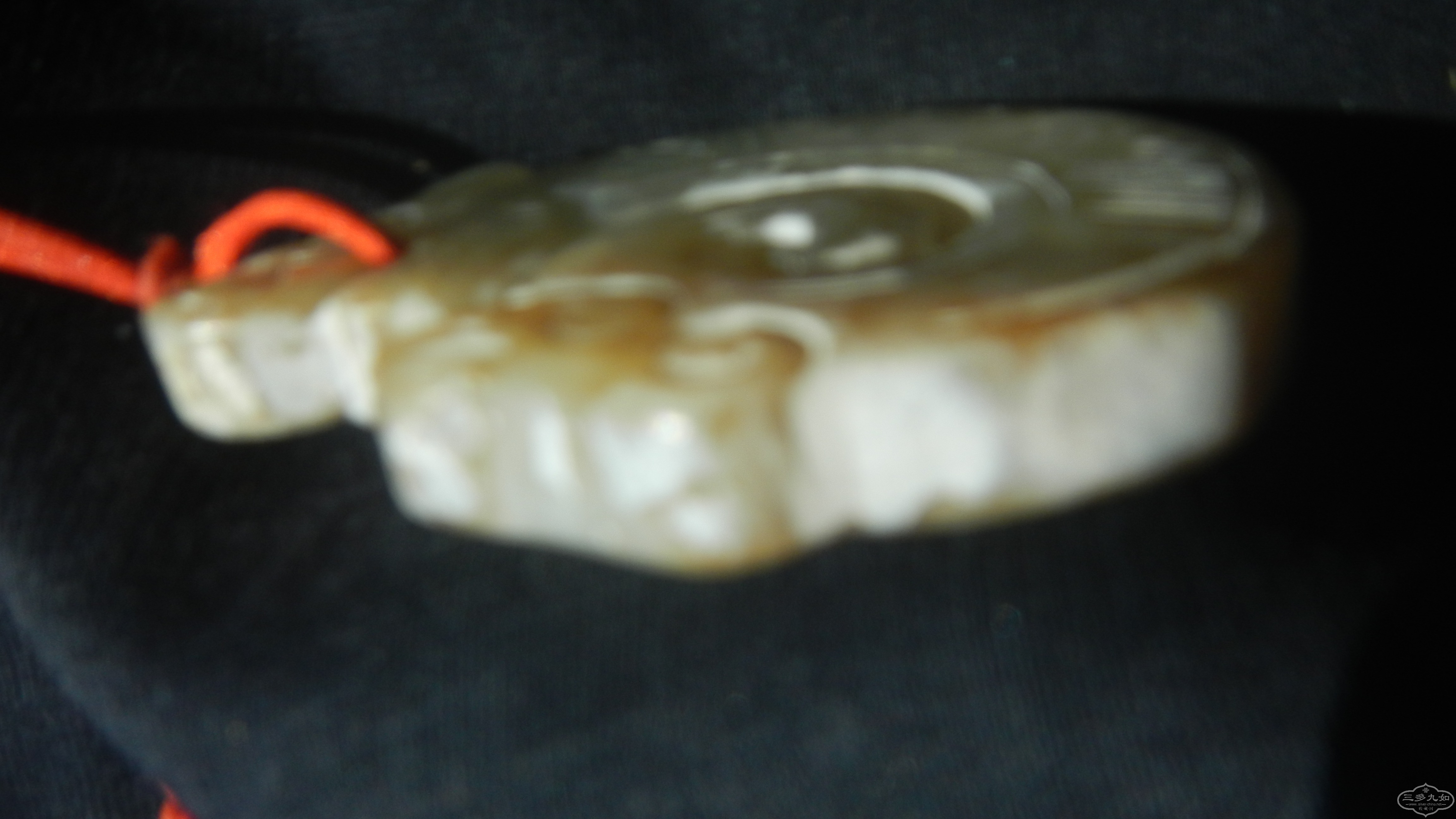 DSCN8462.JPG