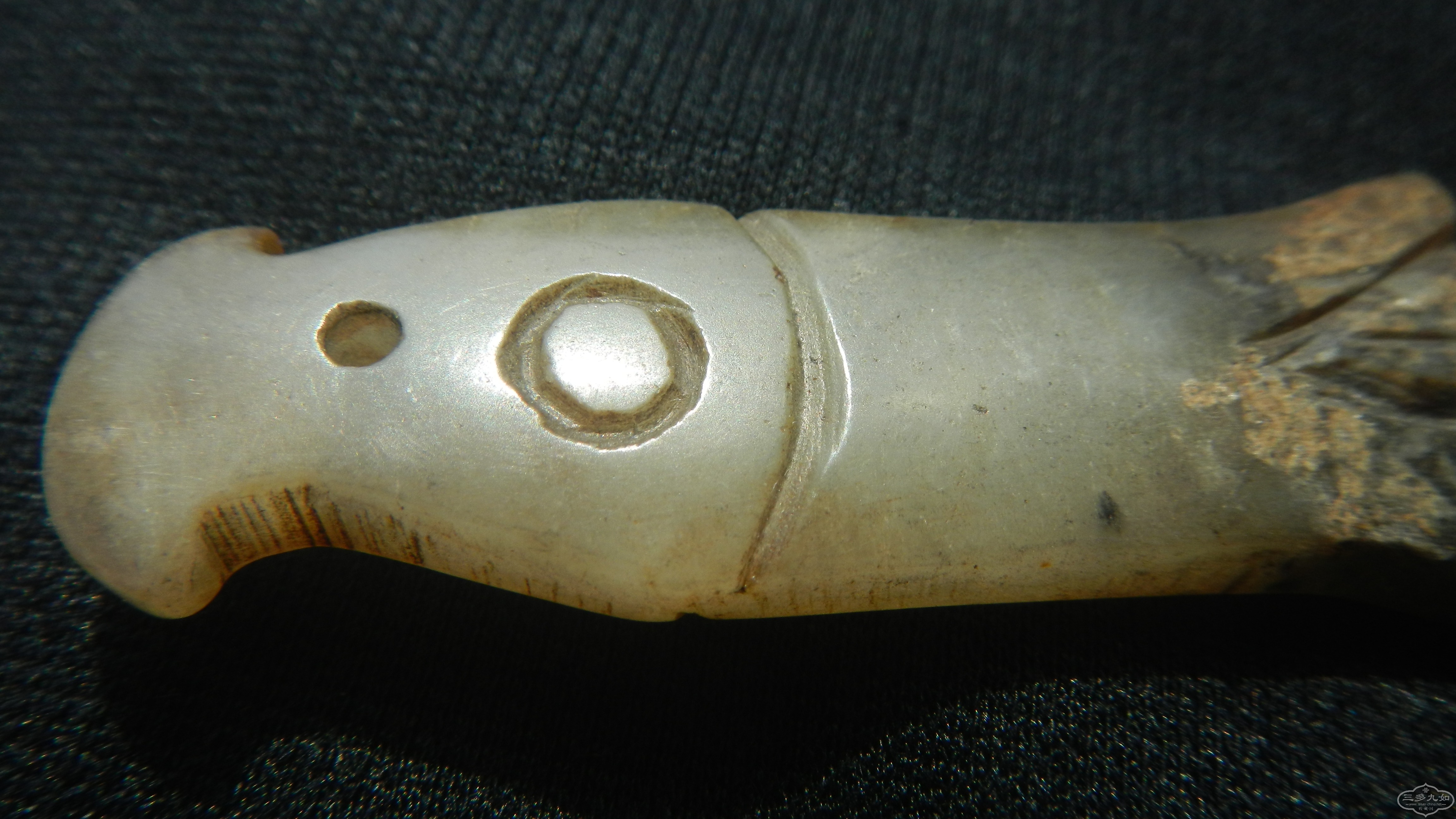 DSCN8482.JPG