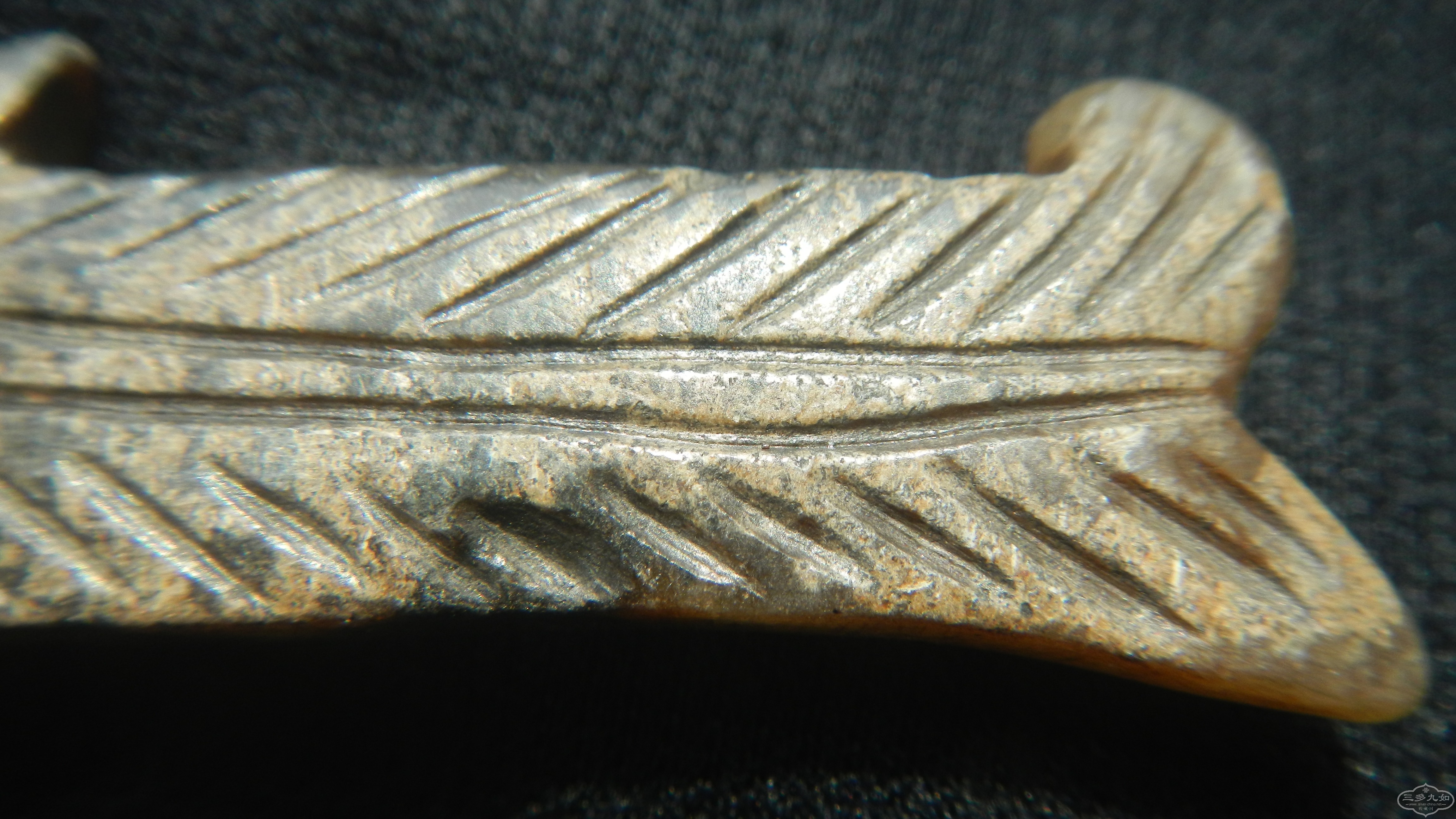 DSCN8487.JPG