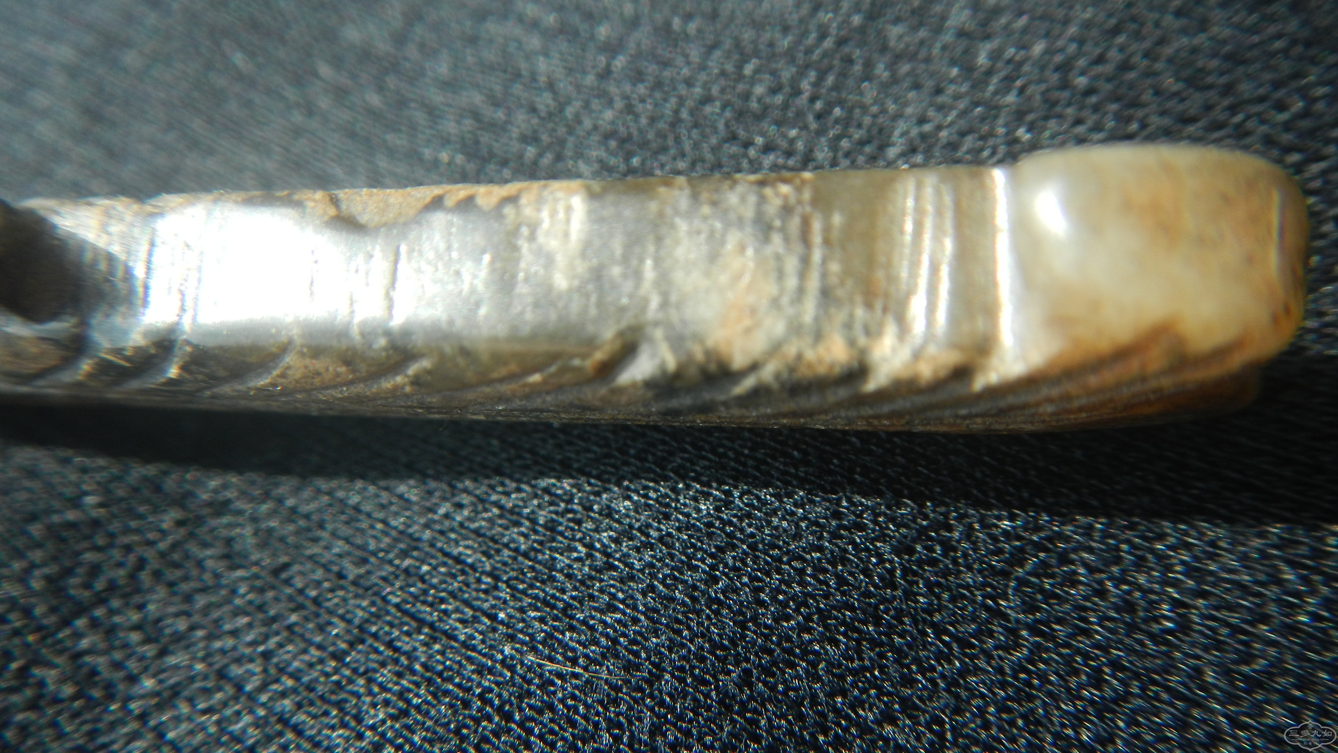 DSCN8490.JPG